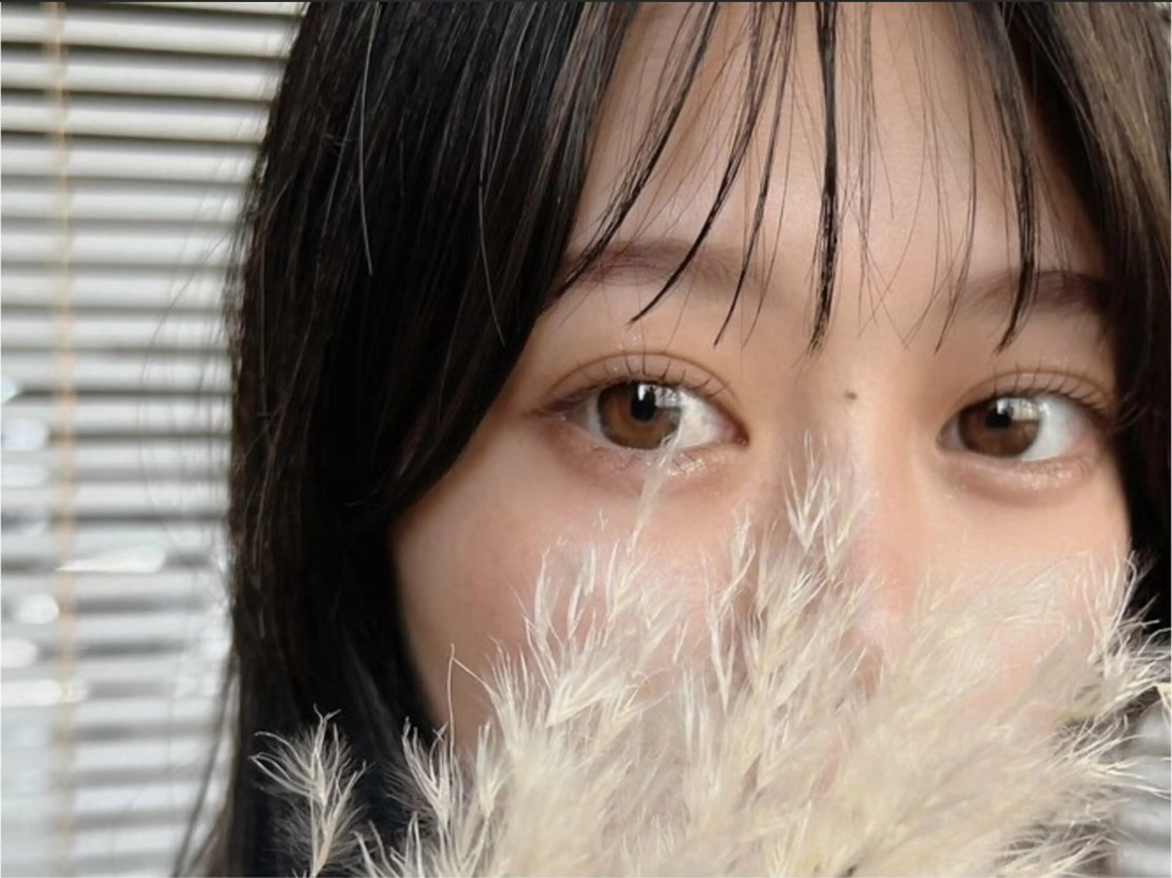 🩵5/14（木）15:00-16:30🩵 眉Wax（間引き付き）＋まつ毛パーマ上下の写真