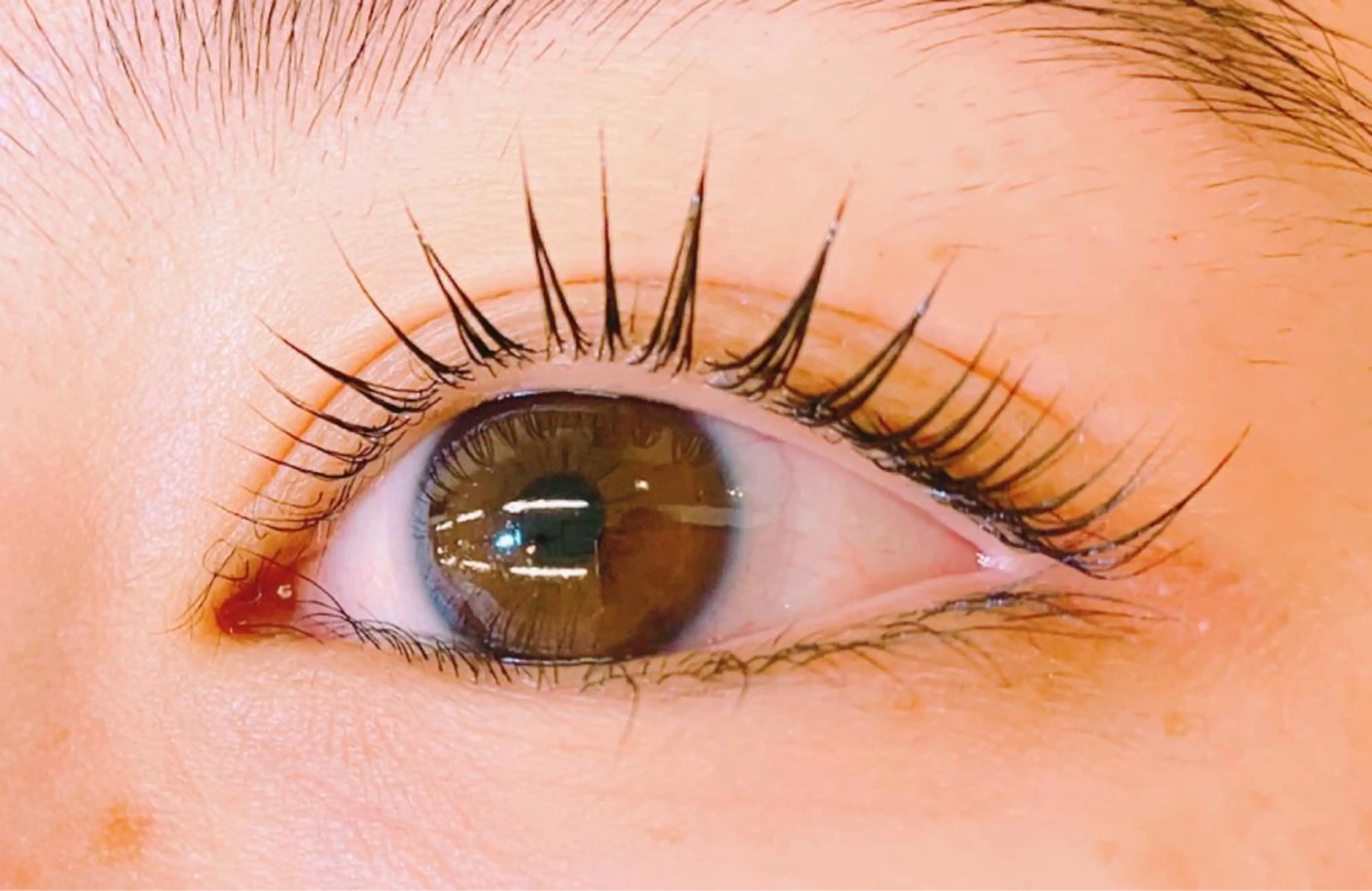 マツエク・マツパ パリジェンヌラッシュリフト 𝐉𝐎𝐋𝐈 アイリスト ❤︎のマツエク・マツパデザイン