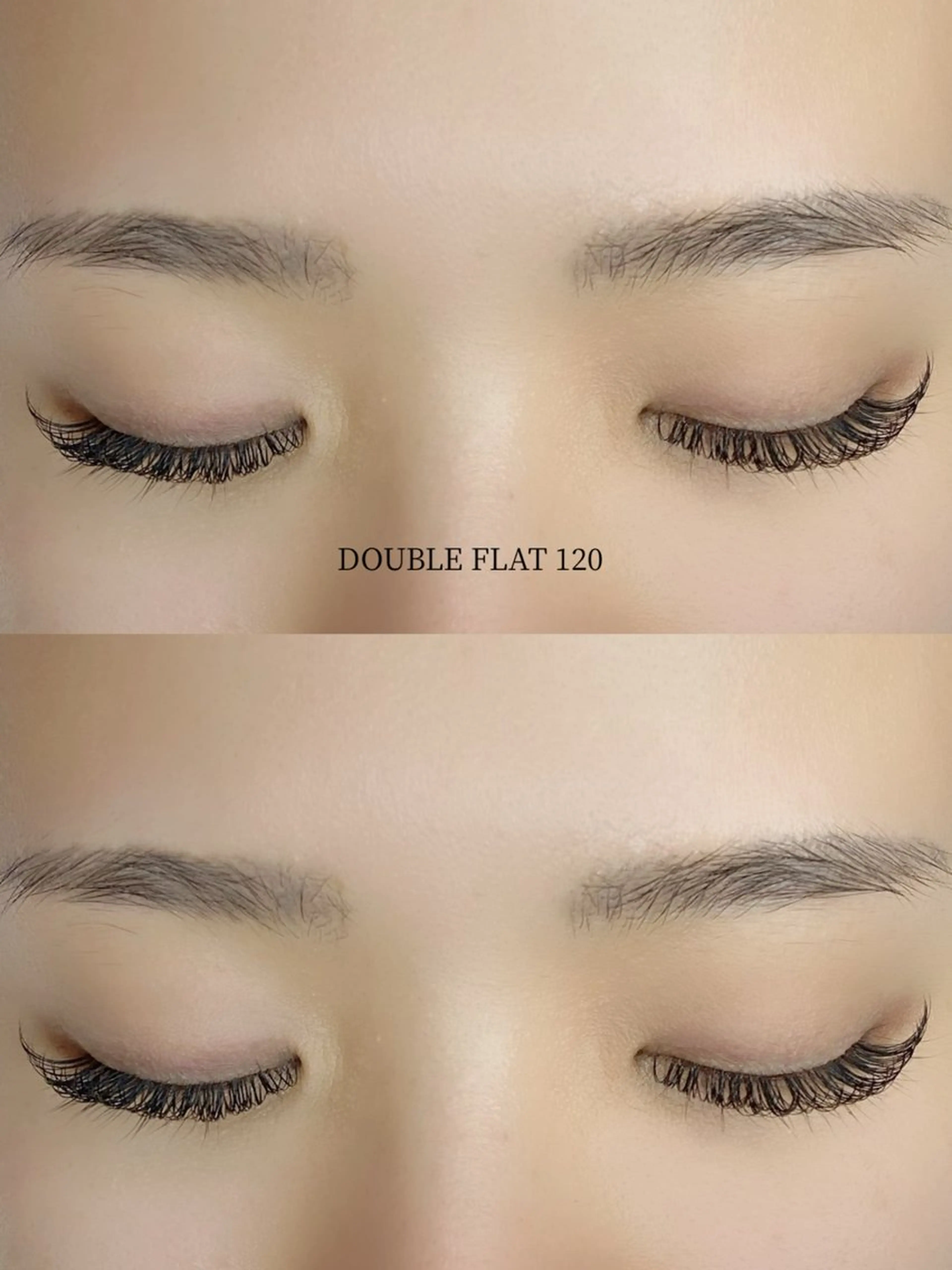 🥀 ダブルフラット 120束の写真