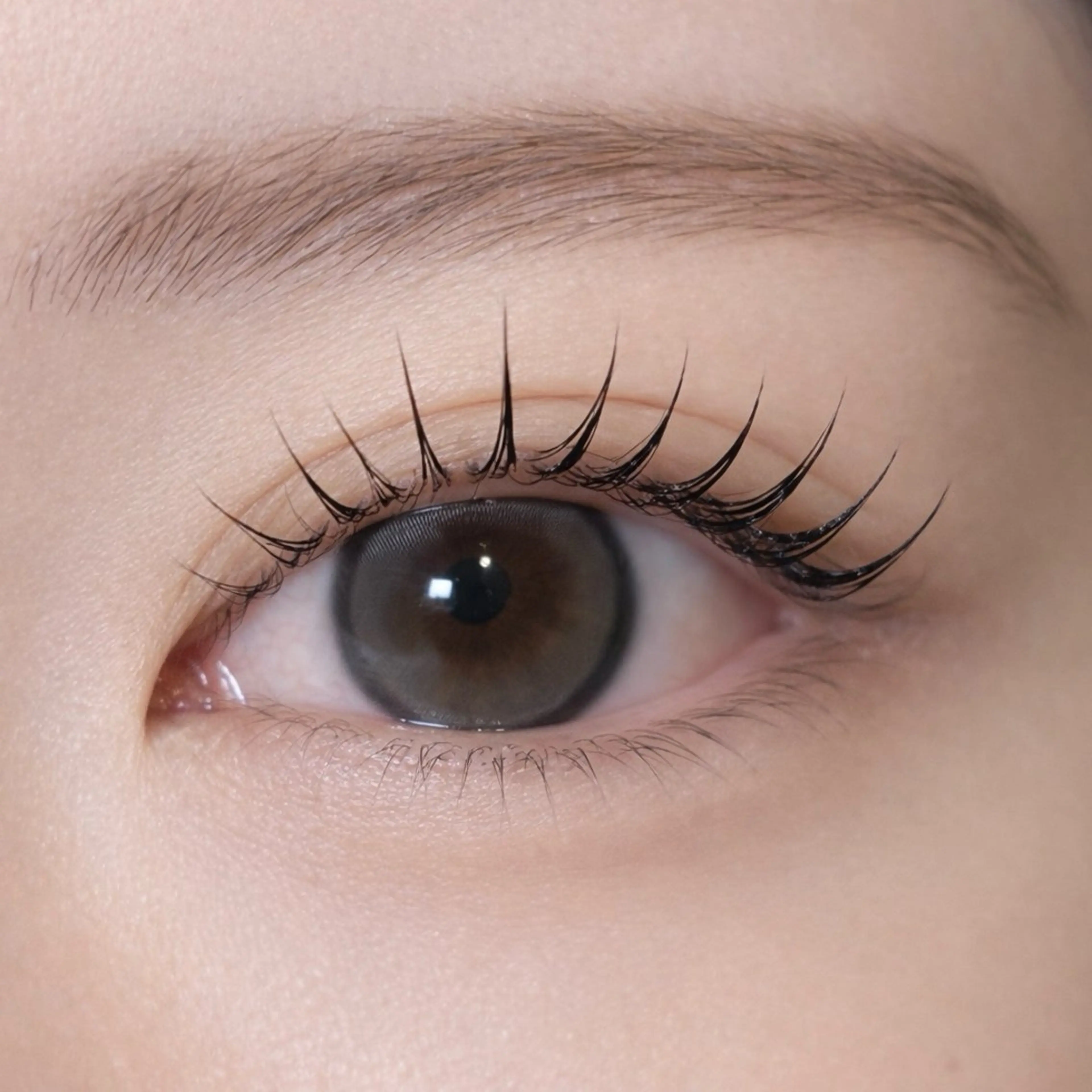 《上》まつげパーマ 【束感Trコーティング仕上げ付】の写真