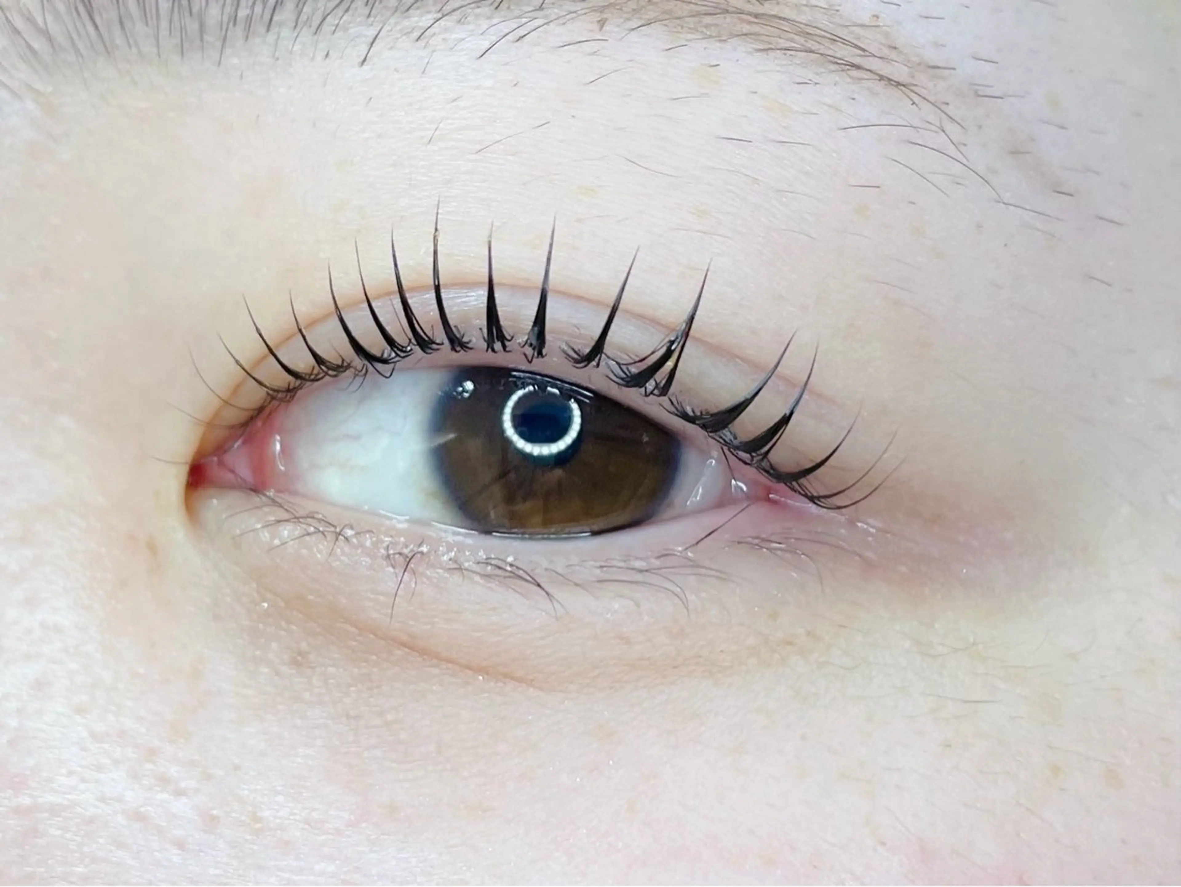 マツエク・マツパ マツパ eyelash CLAYの眉毛・アイブロウイメージ