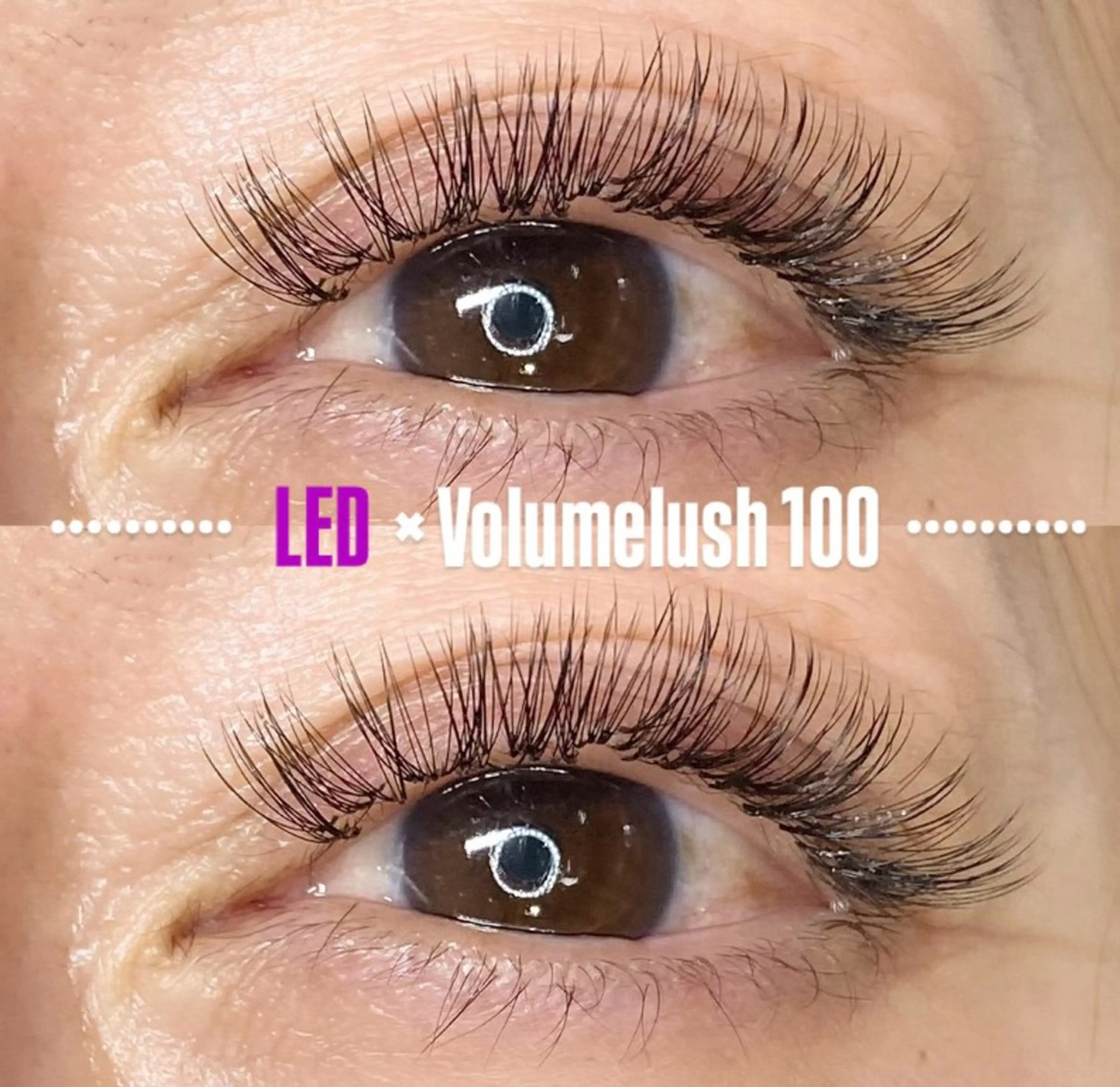 マツエク・マツパ LEDエクステ専門店 Fedis 京橋のマツエク・マツパデザイン