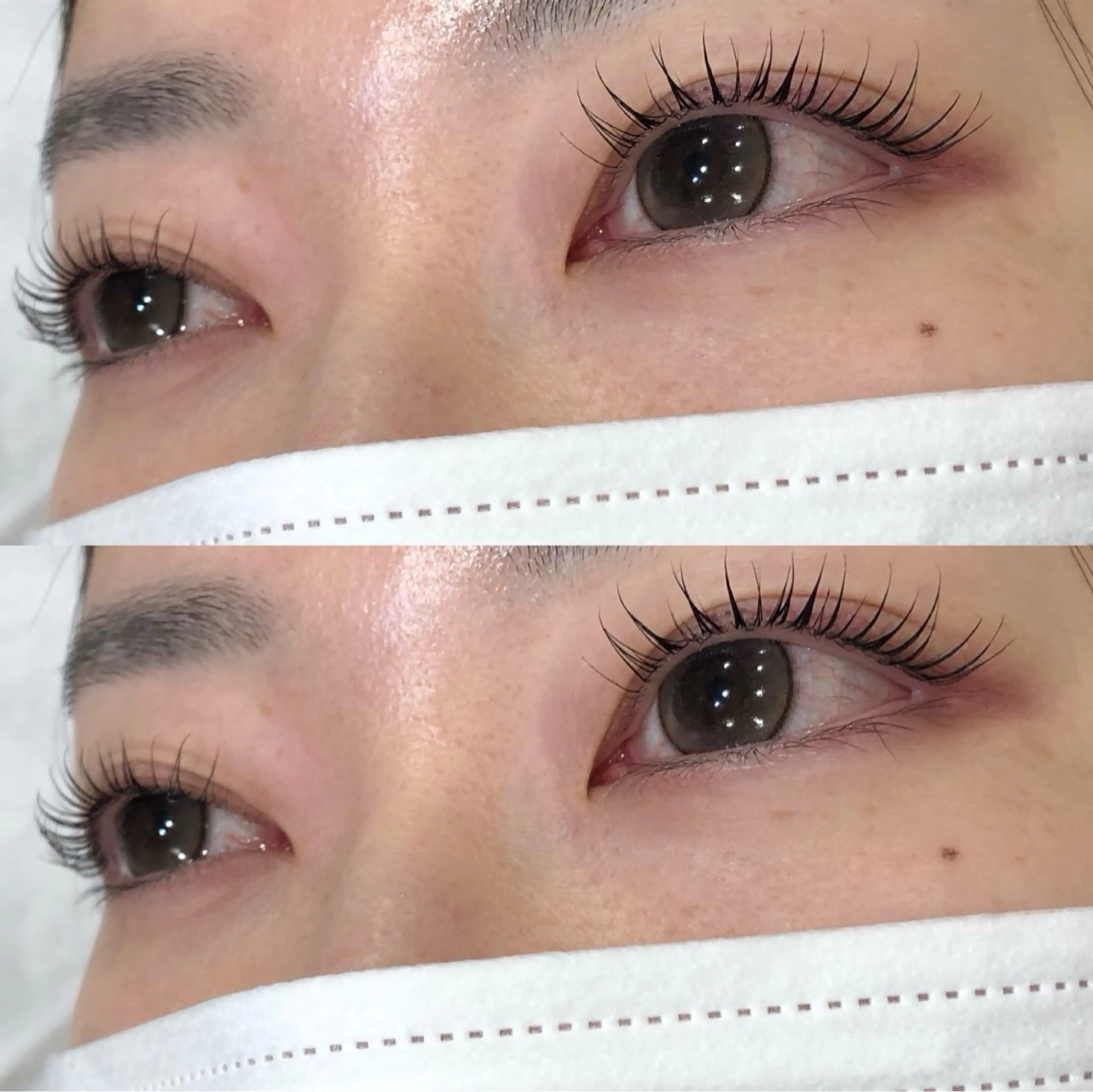 まつ毛パーマorパリジェンヌ✨コーティング付き（1時間程度）の写真