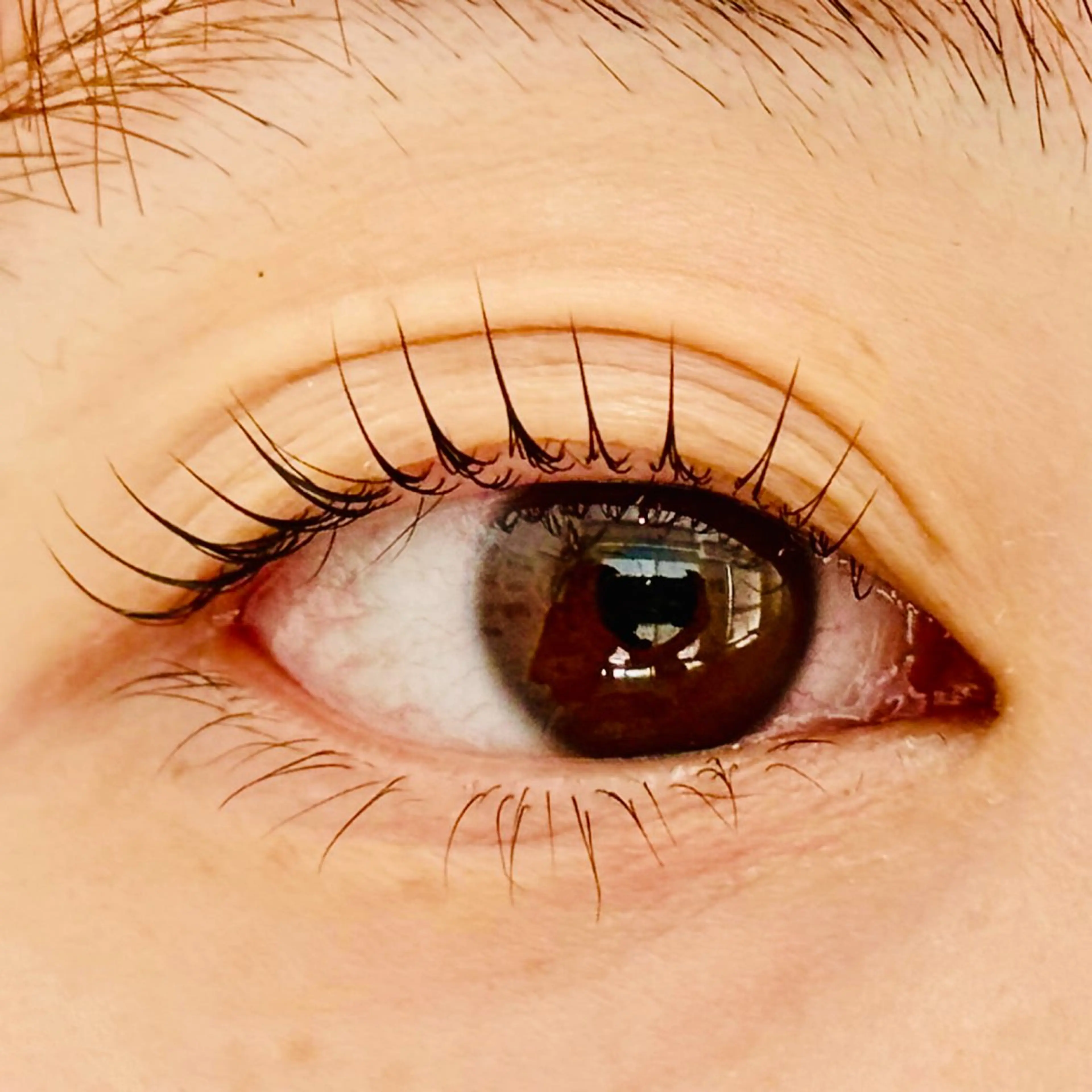 マツエク・マツパ 一重×まつ毛パーマ マツパ franfika かりごめのマツエク・マツパデザイン