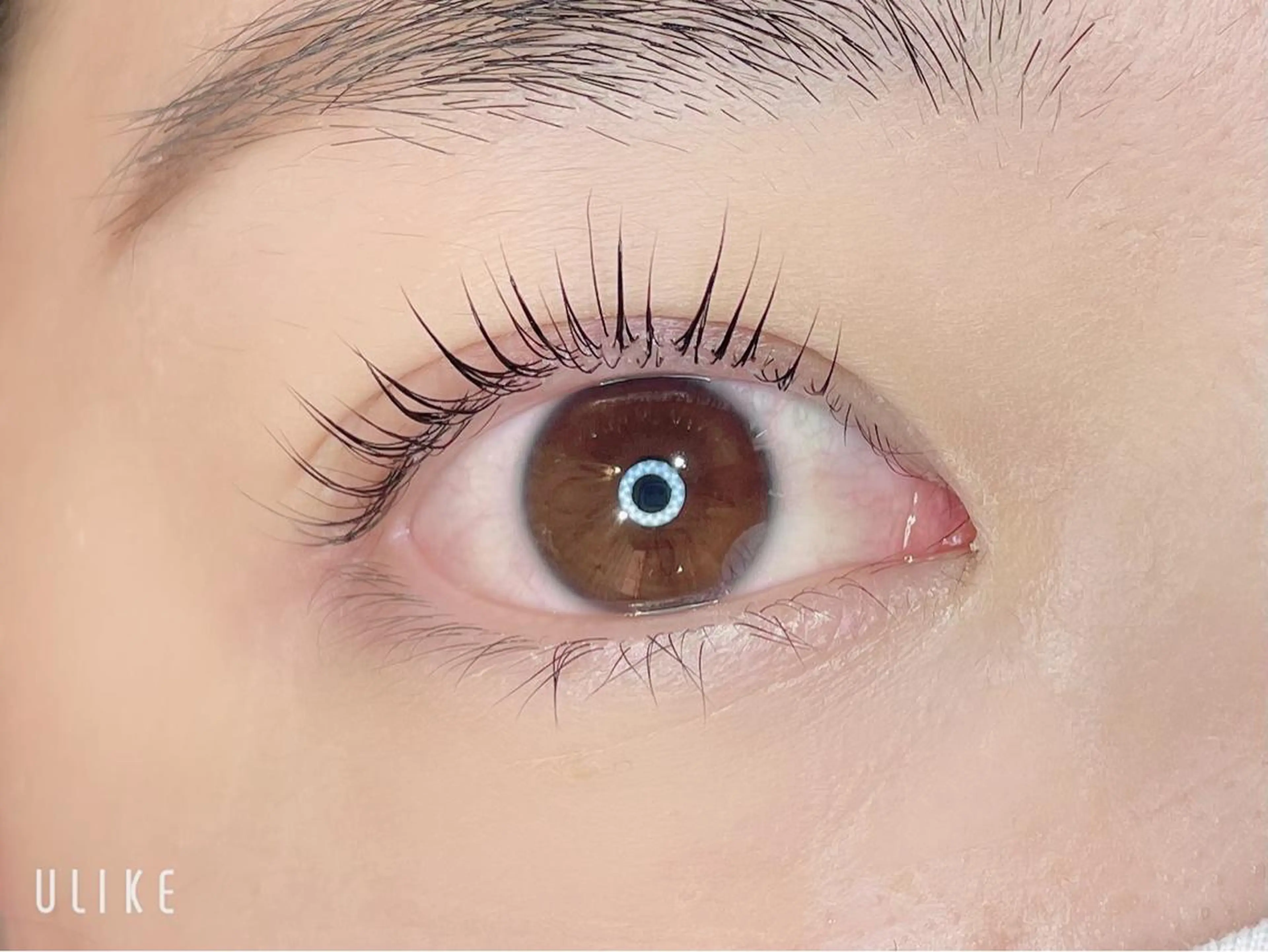 マツエク・マツパ パリジェンヌラッシュリフト 🎀浦嶋 暖乃🎀の眉毛・アイブロウイメージ