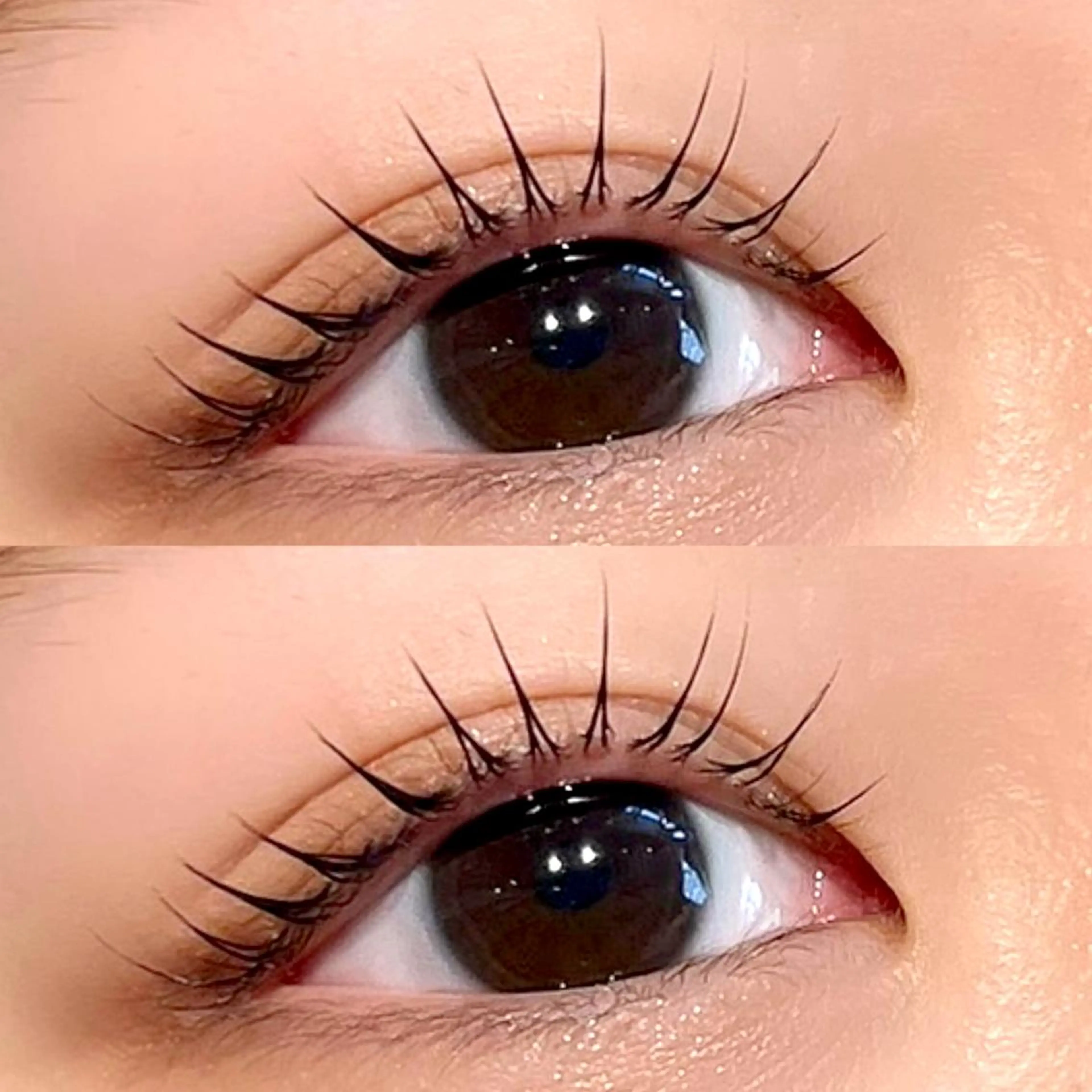 マツエク・マツパ パリジェンヌラッシュリフト Lucia Lash Amaneのマツエク・マツパデザイン