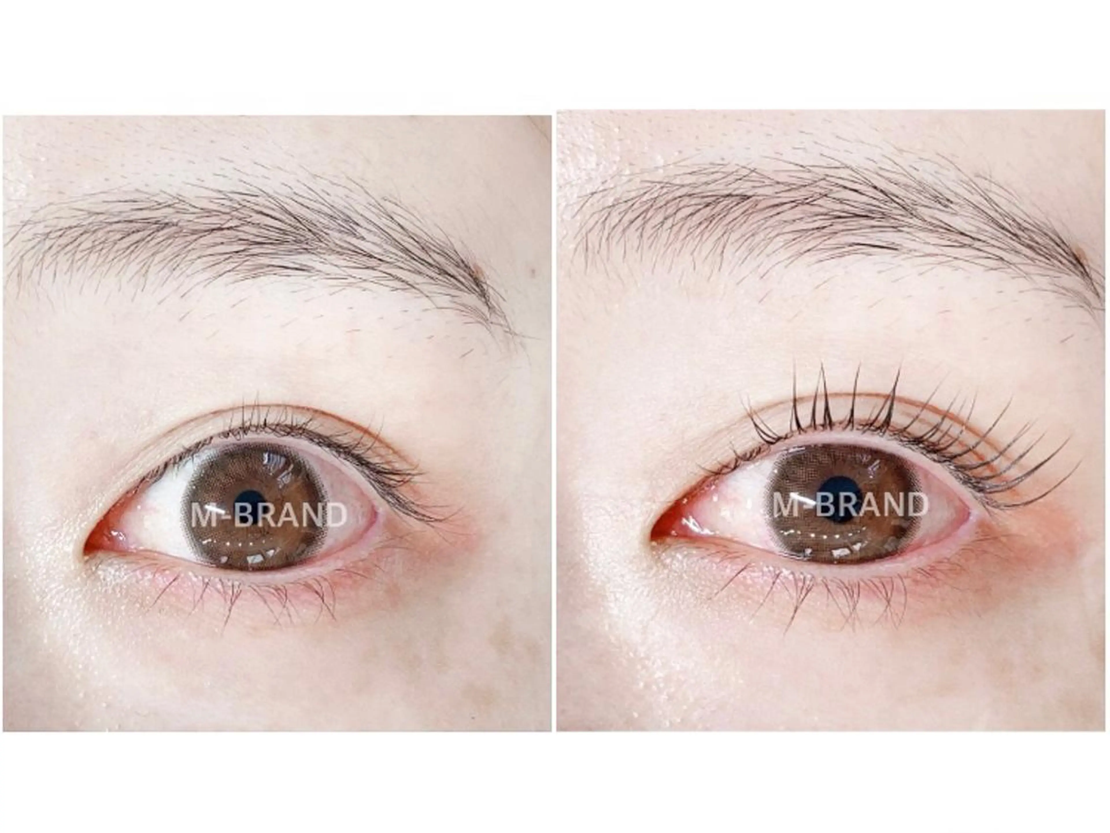 マツエク・マツパ パリジェンヌラッシュリフト エクスキャンベル 本店のマツエク・マツパデザイン