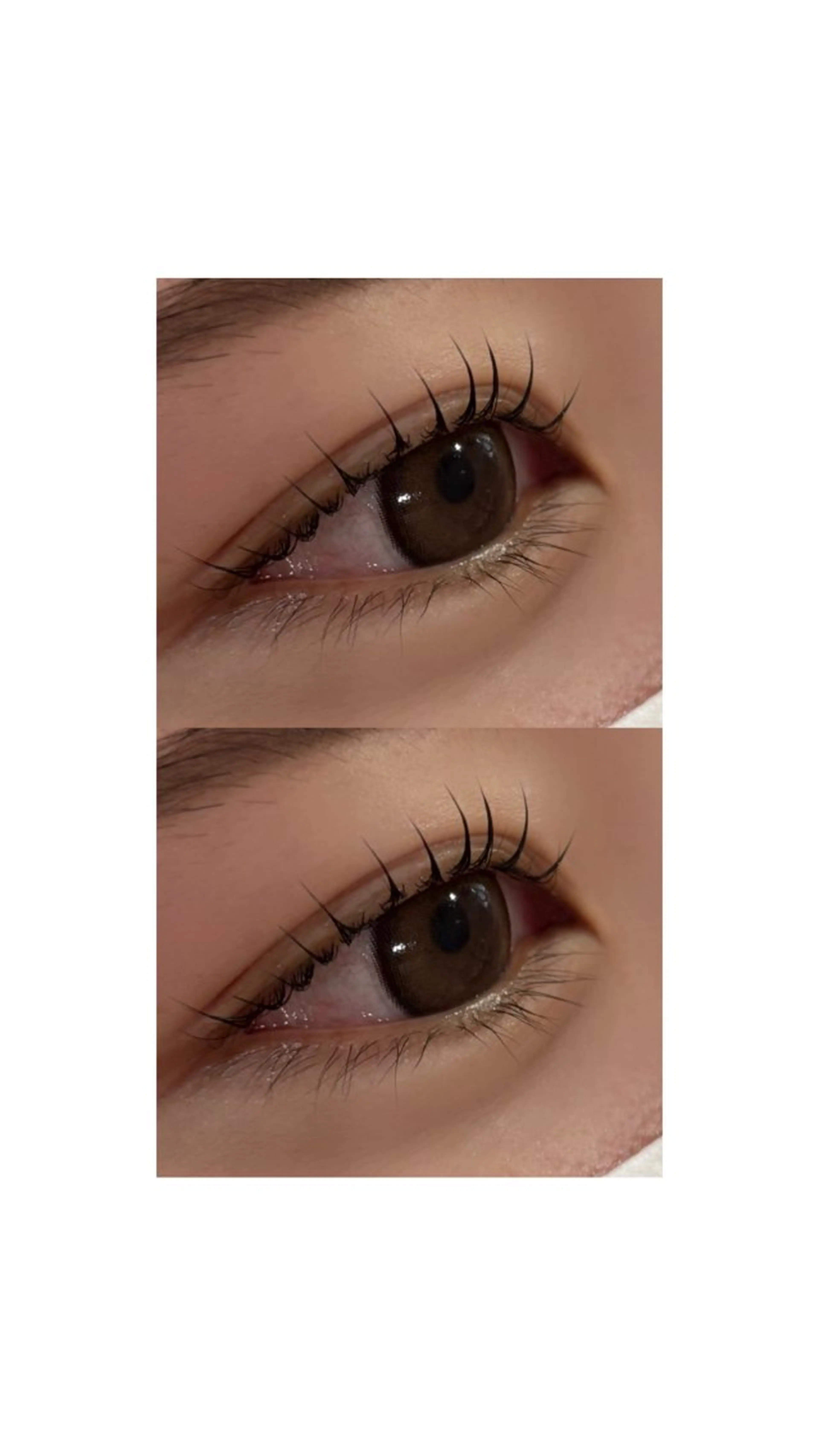 💋束感☆韓国風まつげパーマ💋ナチュラル/コーティング仕上【オフなし】の写真