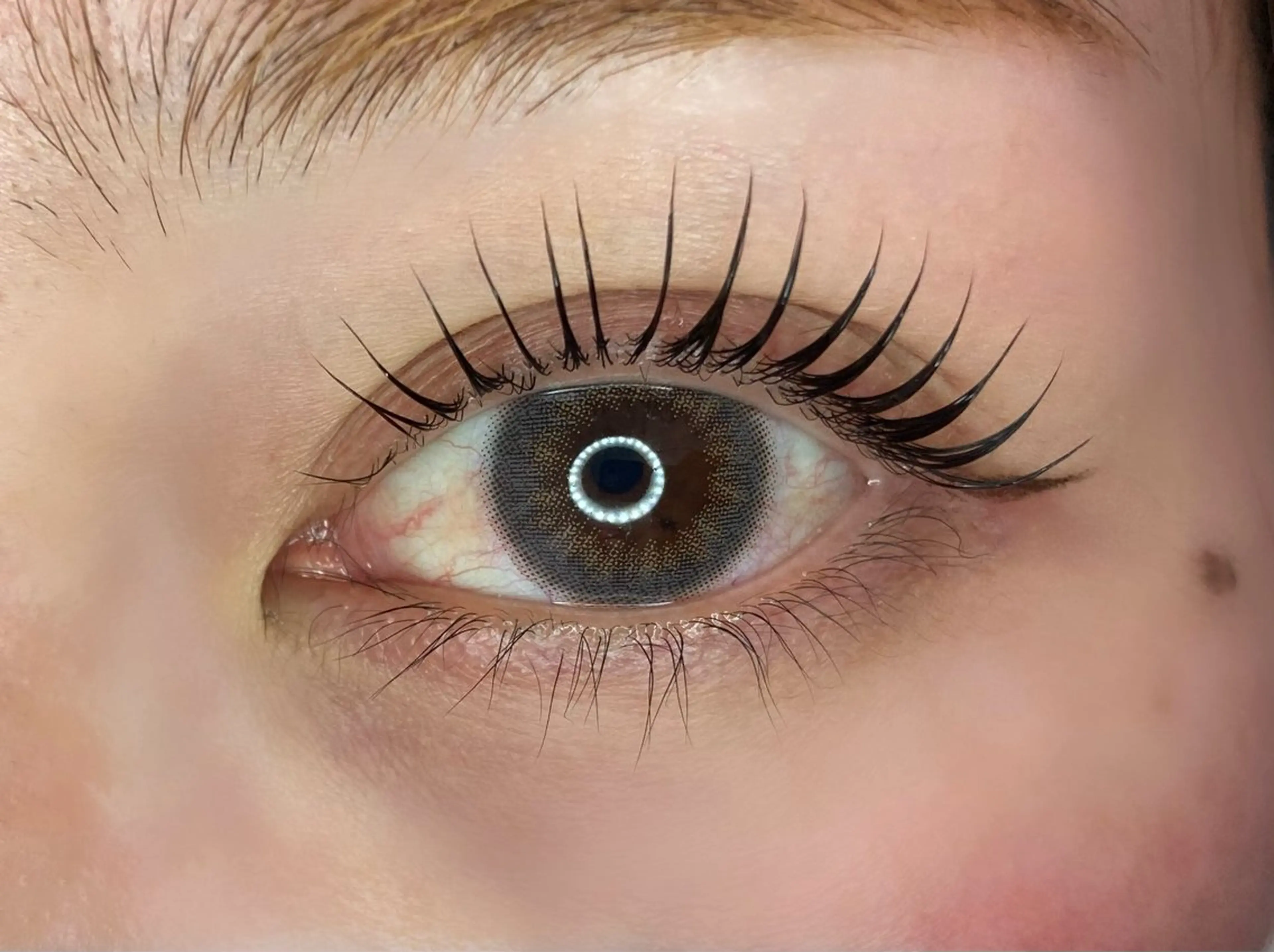 💫上まつげパーマ💫高保湿・美容液トリートメント仕上げ💫の写真