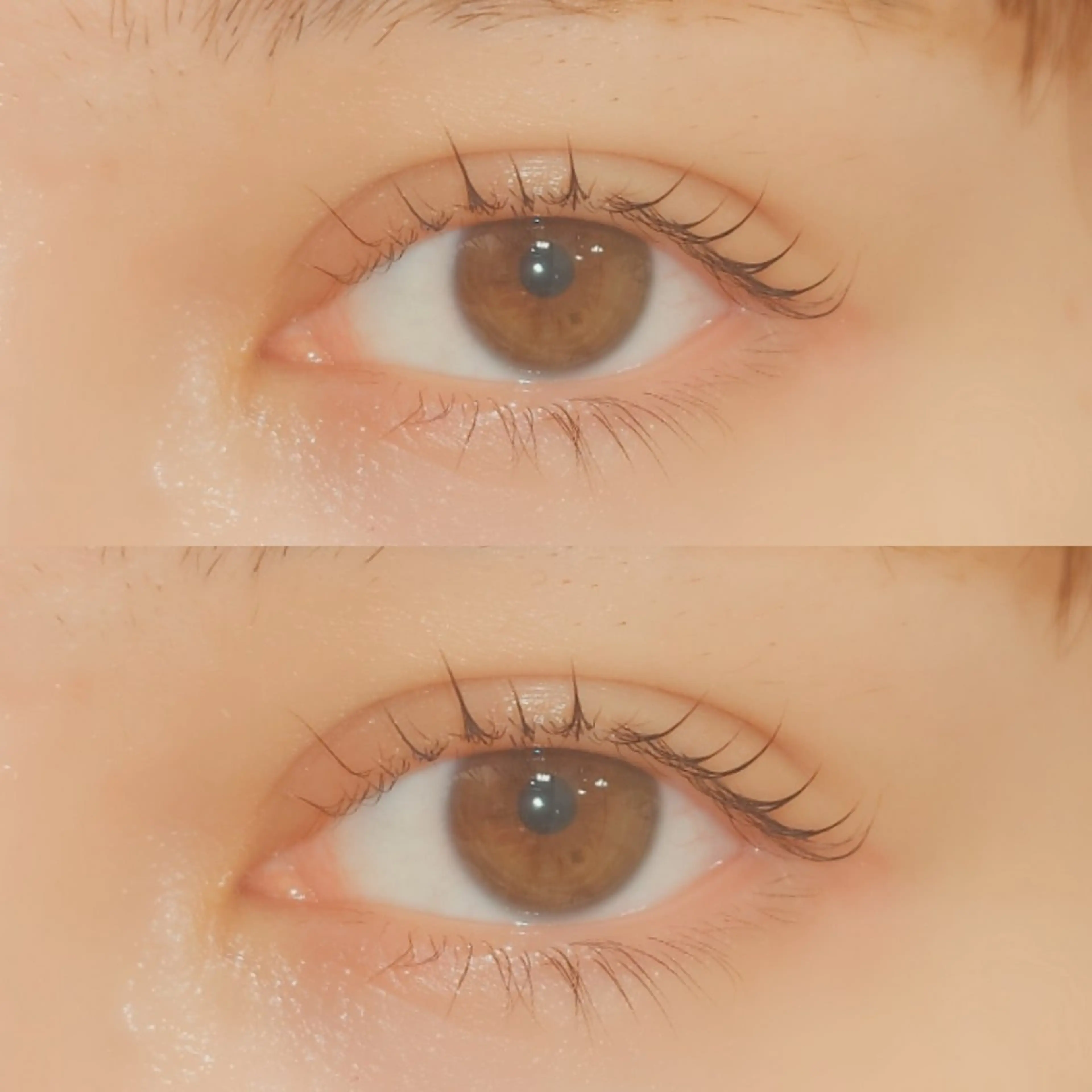 マツエク・マツパ 一重×まつ毛パーマ マツパ tico 🌱shiori🌱のヘアスタイル