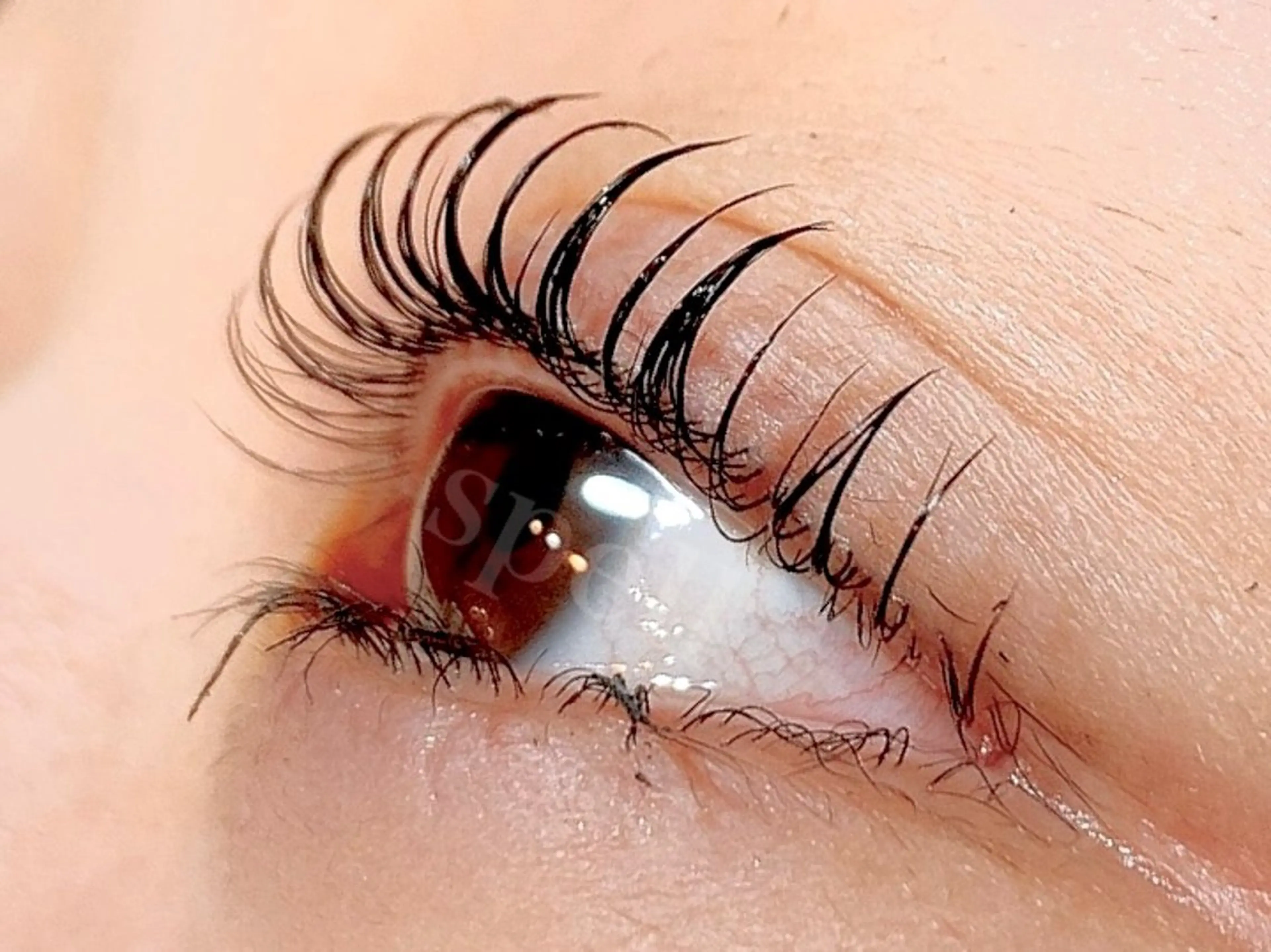 マツエク・マツパ spell eyelashのマツエク・マツパデザイン