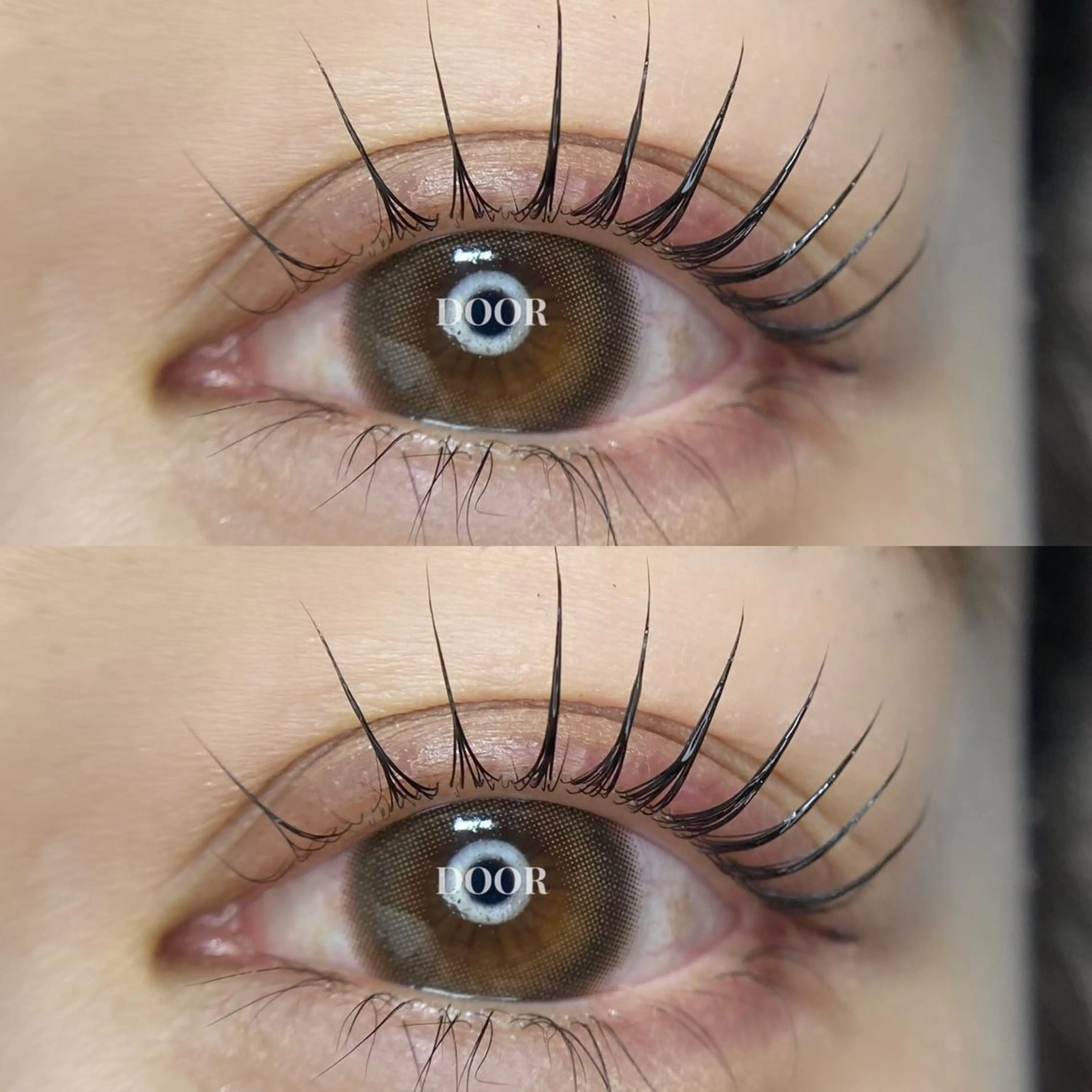 【 おすすめ美容液エグータム付き🪄】🍒パリジェンヌラッシュ or まつ毛パーマ🍒美容液➕コーティング仕上げの写真