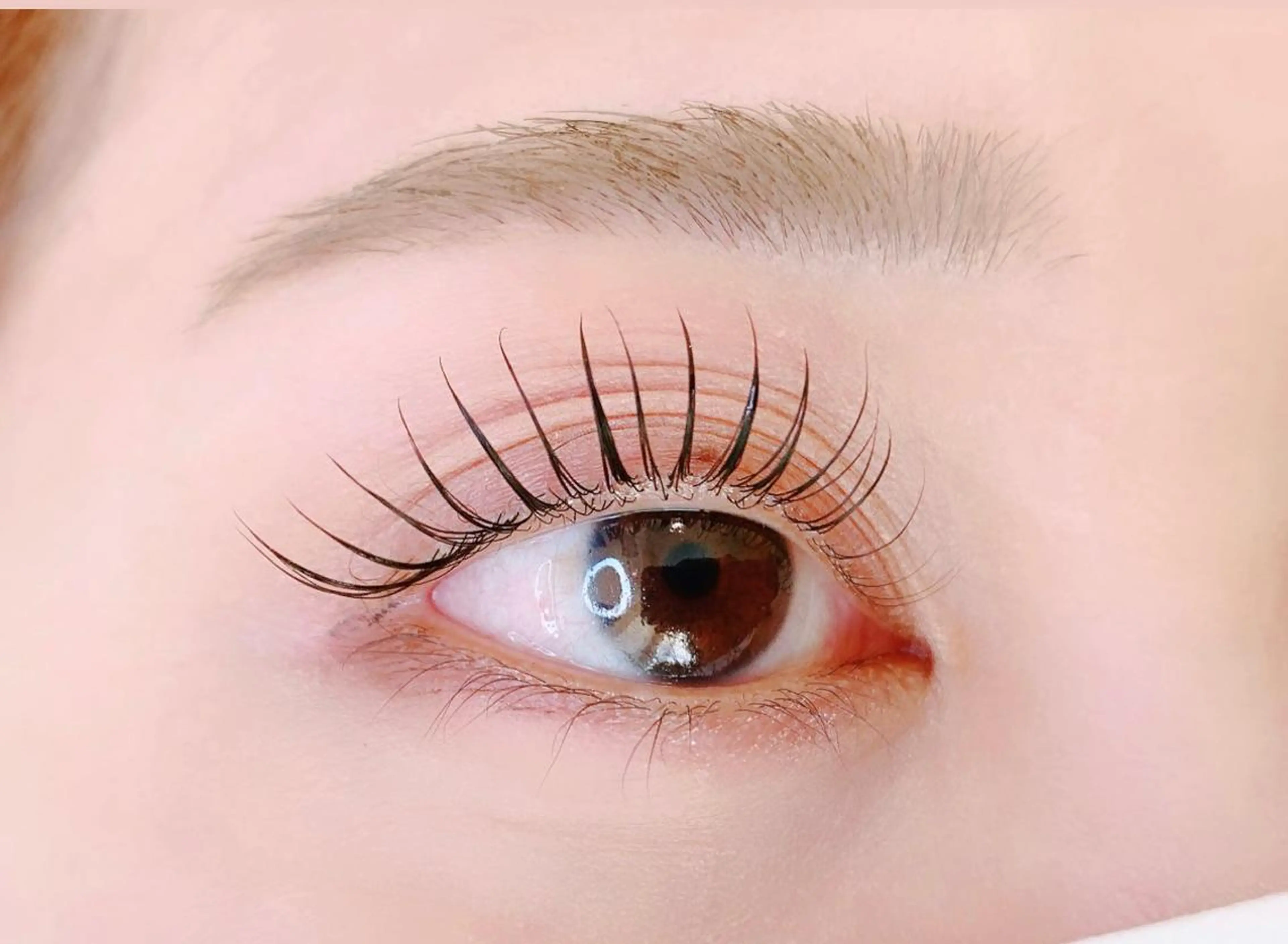 【新規】メーテルラッシュリフト👀　ケラチントリートメント付き☆￥5000 （2回目以降¥5500）の写真