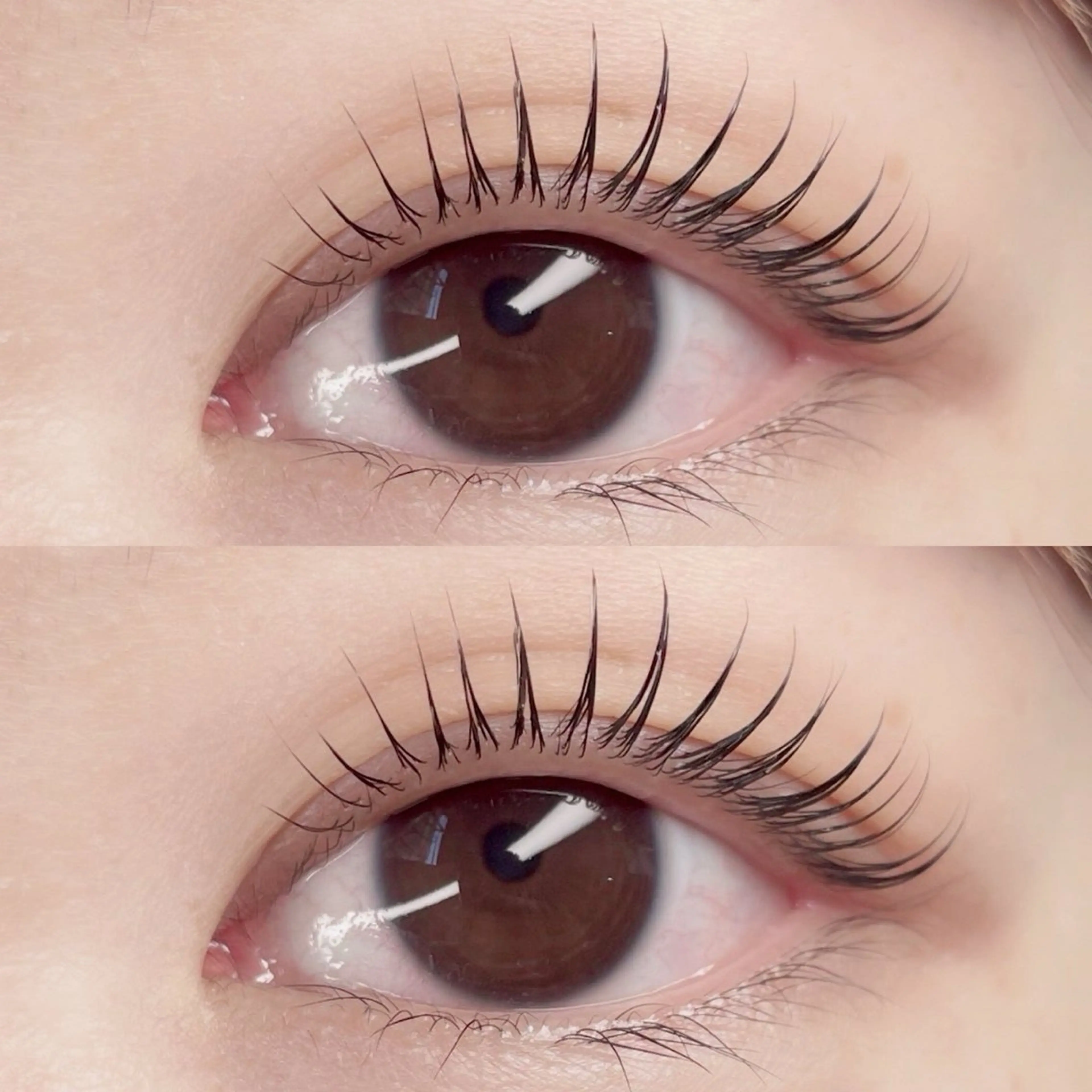 【ミニモ限定価格】ラッシュリフト/まつげパーマ/パリジェンヌラッシュリフト/コーティング付き🌟の写真