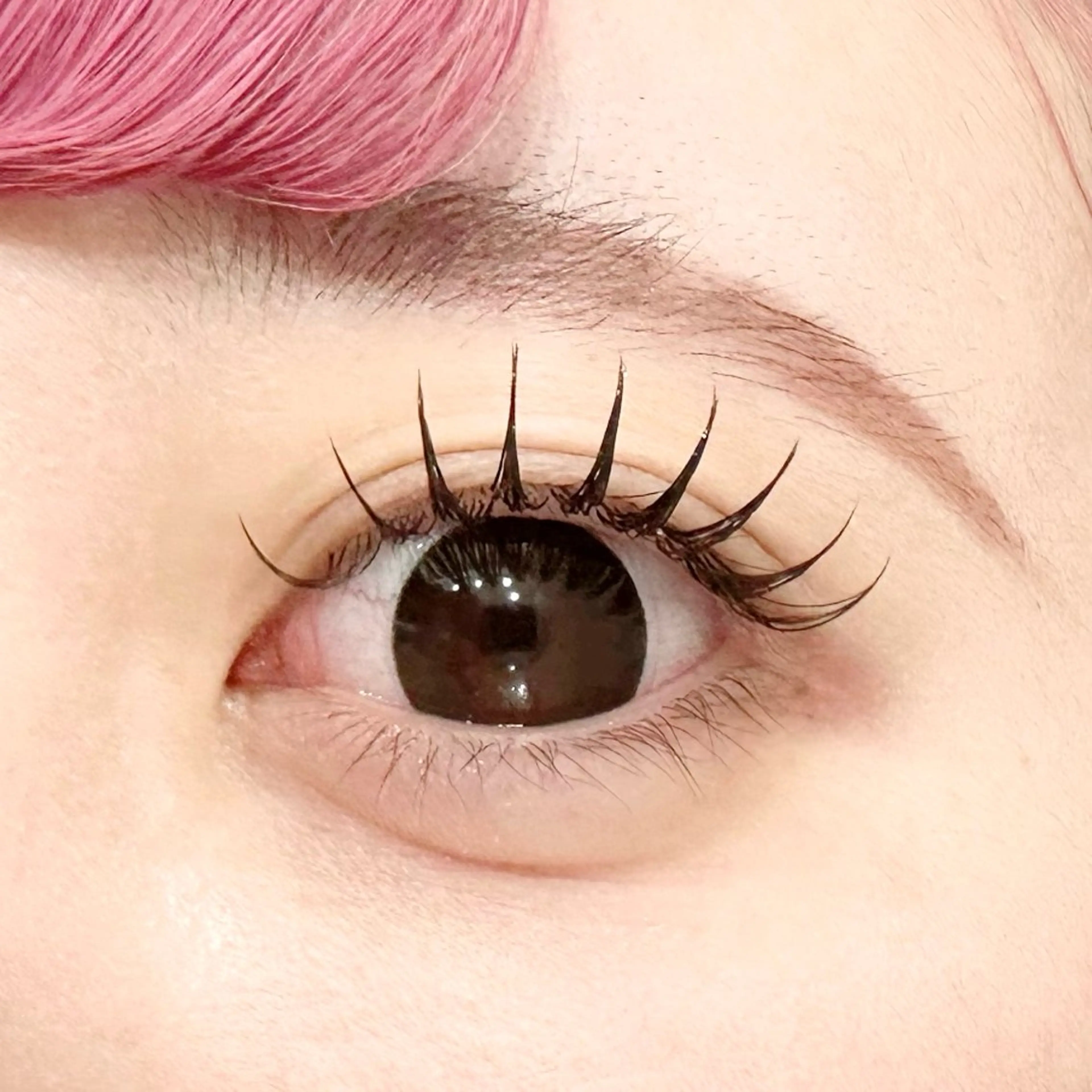 オフ込フラットラッシュ120本の写真