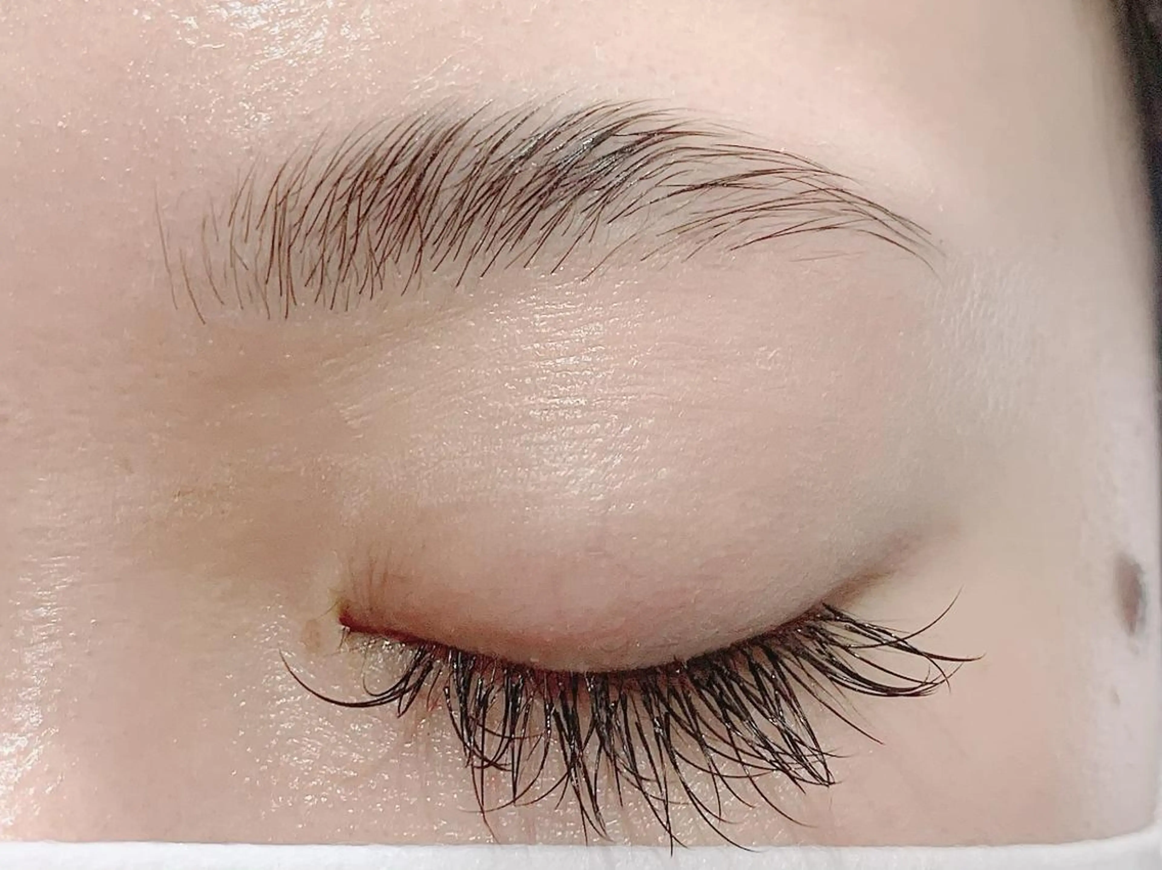 マツエク・マツパ Laurel eye ローレルのマツエク・マツパデザイン