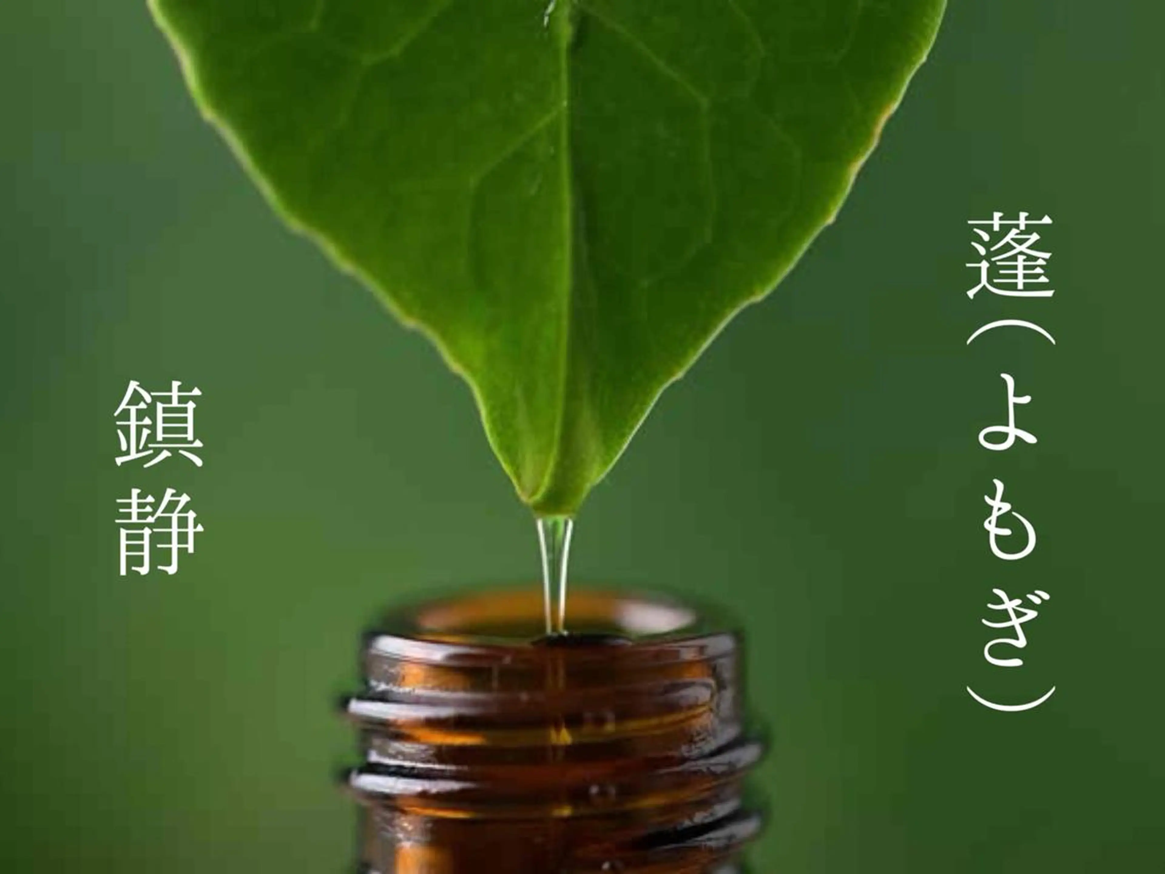 近藤 由美のエステ・リラクイメージ