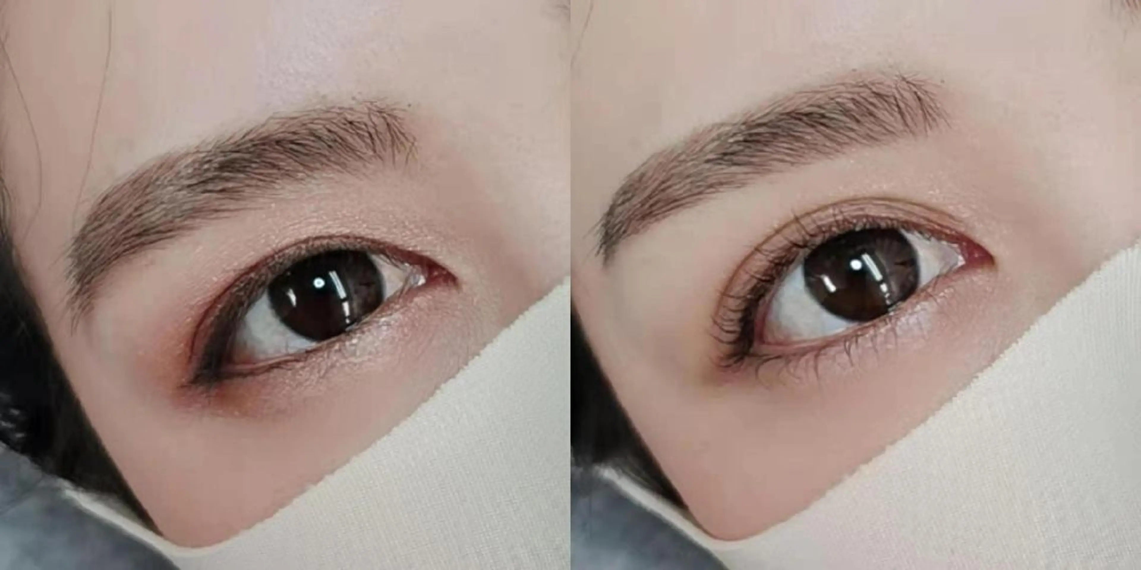 マツエク・マツパ まつげパーマ 下まつげエクステ 胡蝶蘭レディースサロ ン眉マツパエクステの眉毛・アイブロウイメージ
