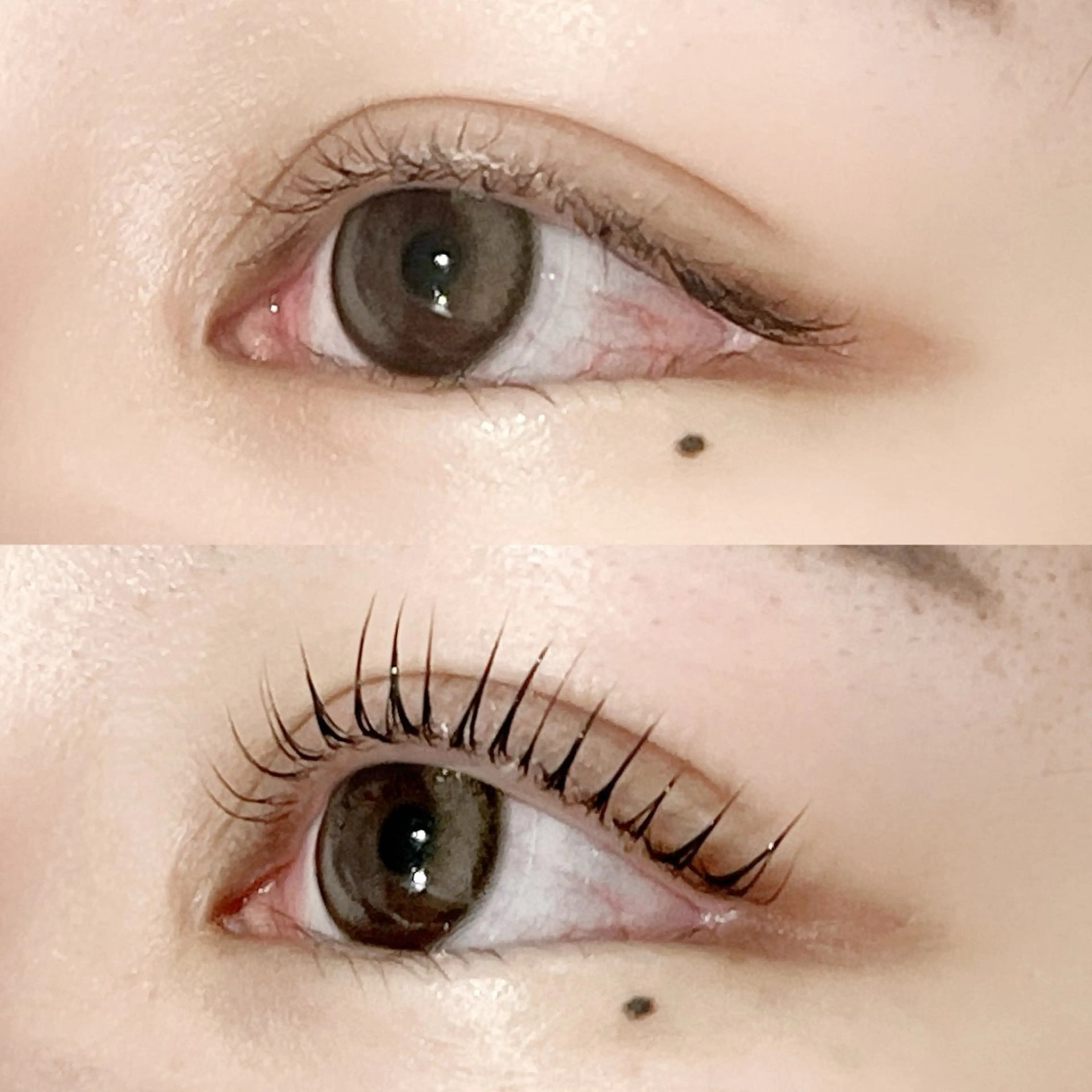 マツエク・マツパ パリジェンヌラッシュリフト Serina新宿南口 佐藤のマツエク・マツパデザイン