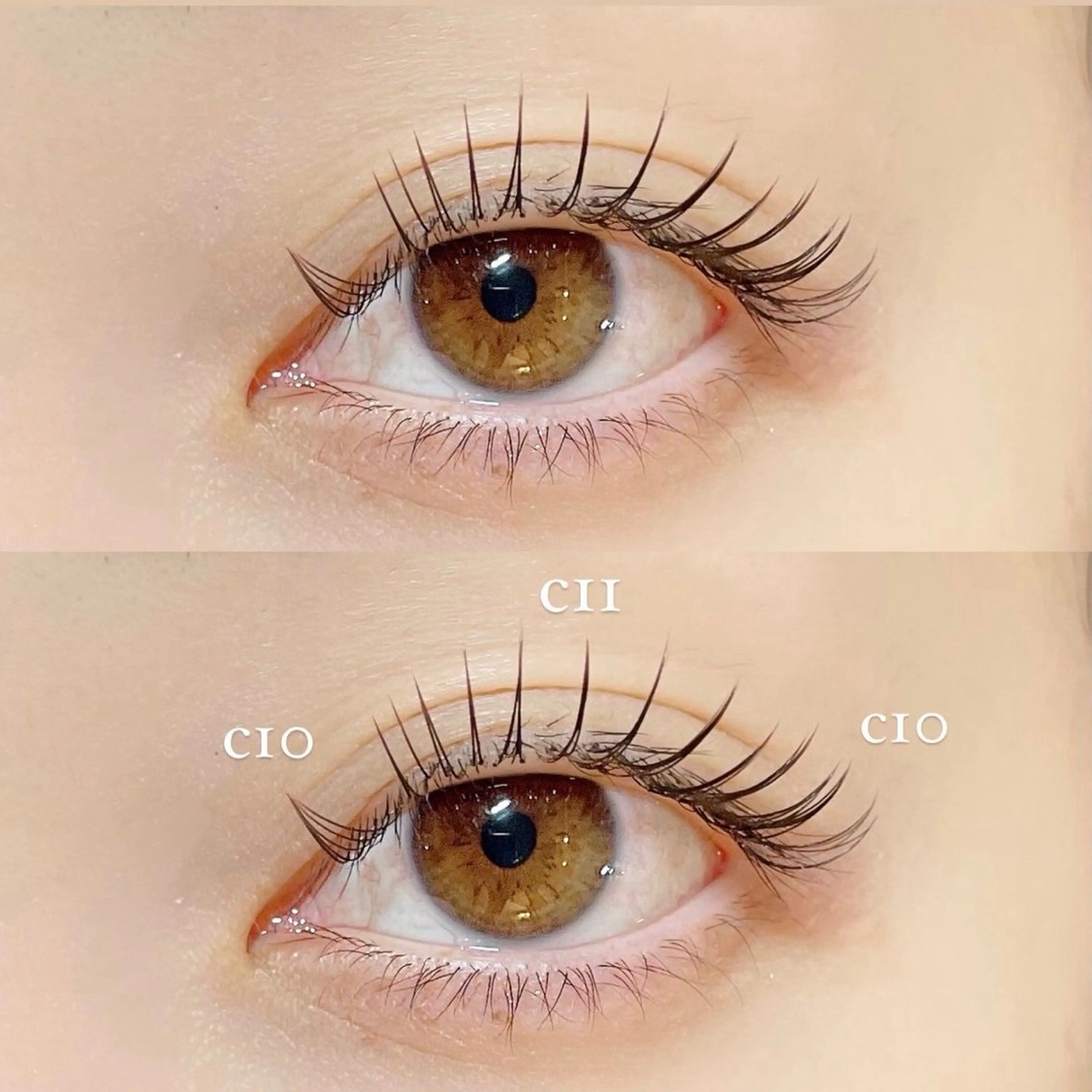 マツエク・マツパ セーブル Isogai 𓏸𓍯﻿のマツエク・マツパデザイン