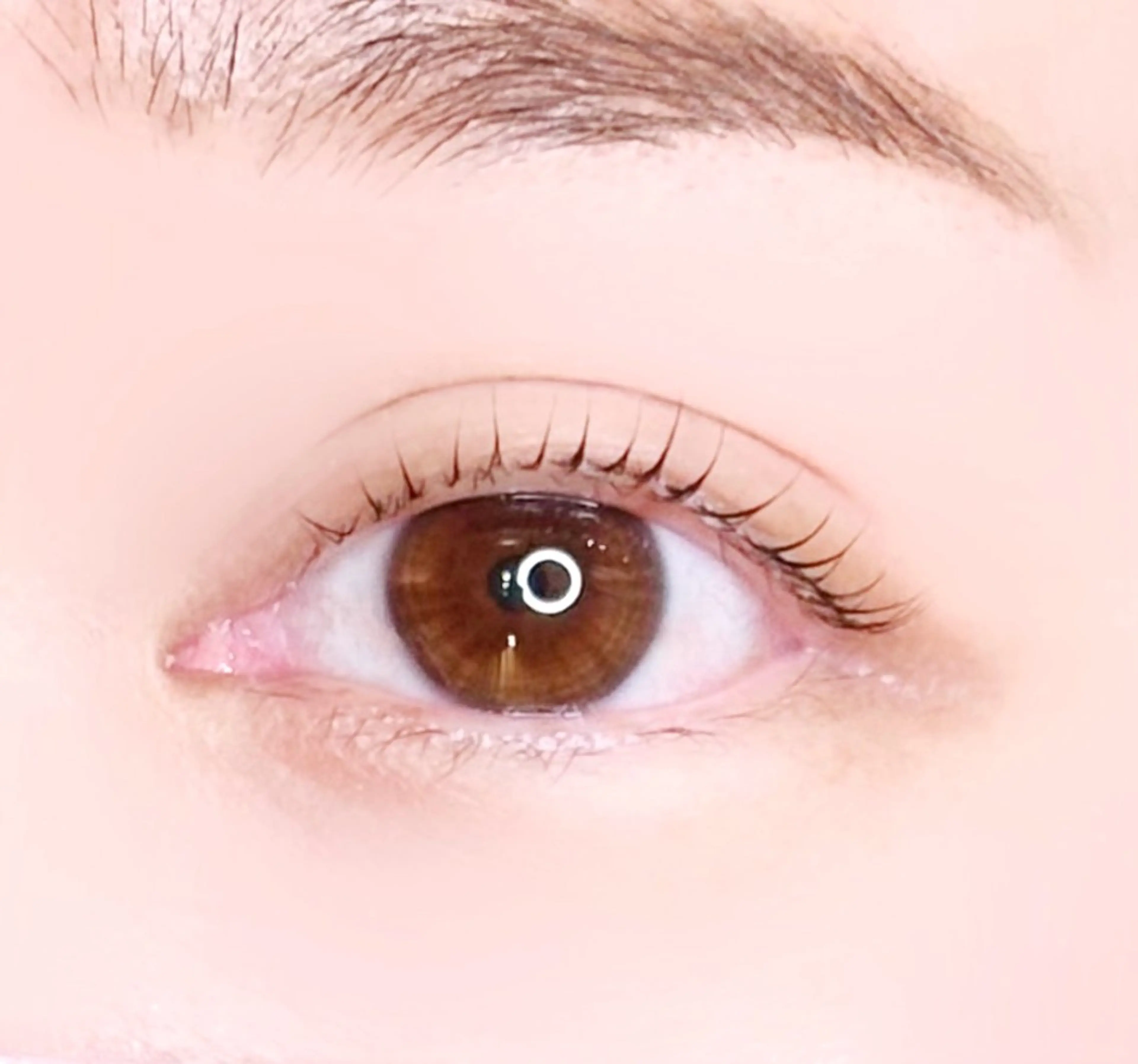 マツエク・マツパ ‎🪞Be.┊ Miku┊マツパ🌙のマツエク・マツパデザイン