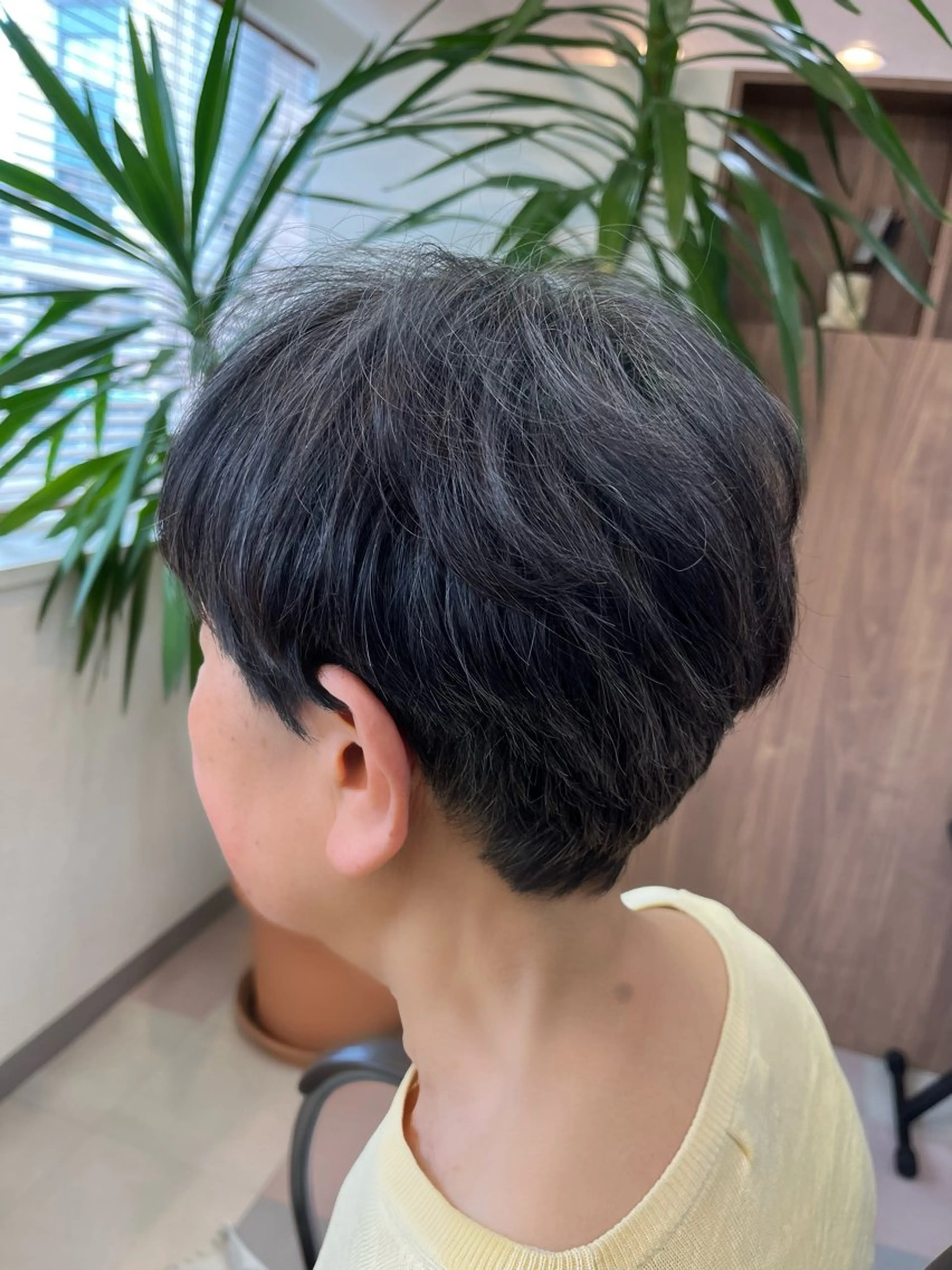 ショート マッシュヘア 西川 和輝のヘアスタイル