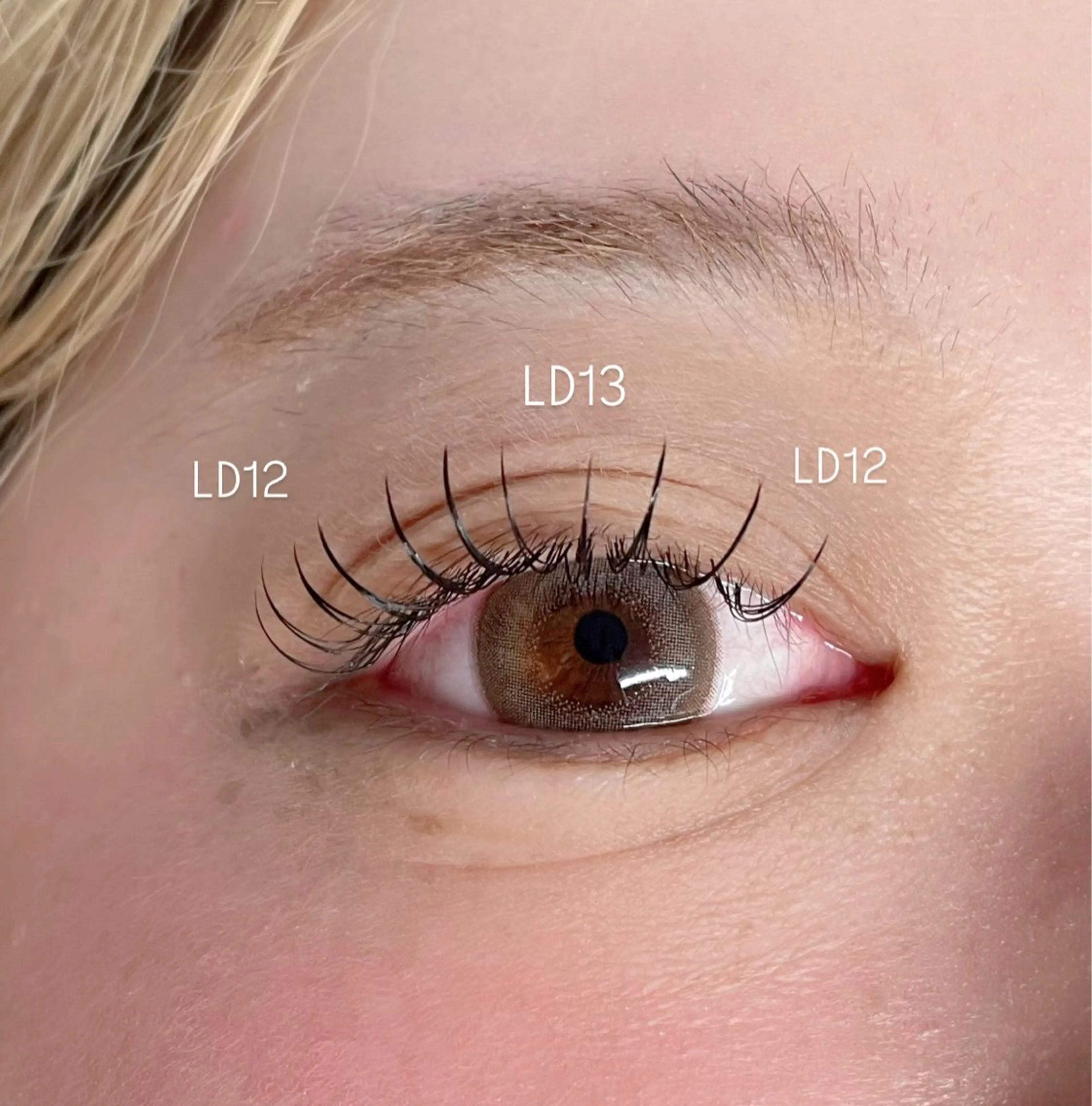 4月限定💝フラットラッシュ120本（オフ込み）　L.LDも可能🙆‍♀️3600円の写真