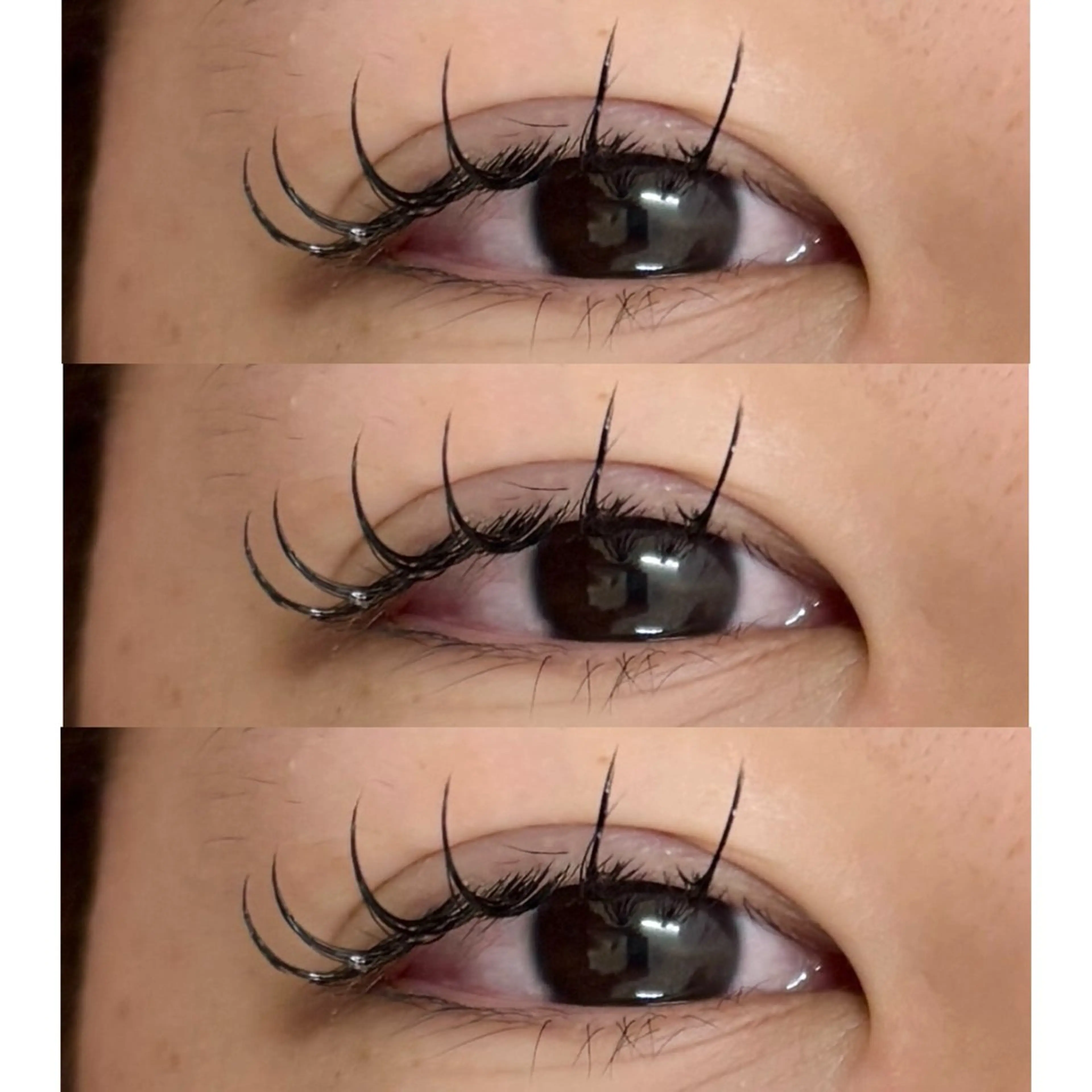 90分フラットラッシュ120本(オフ込み)の写真