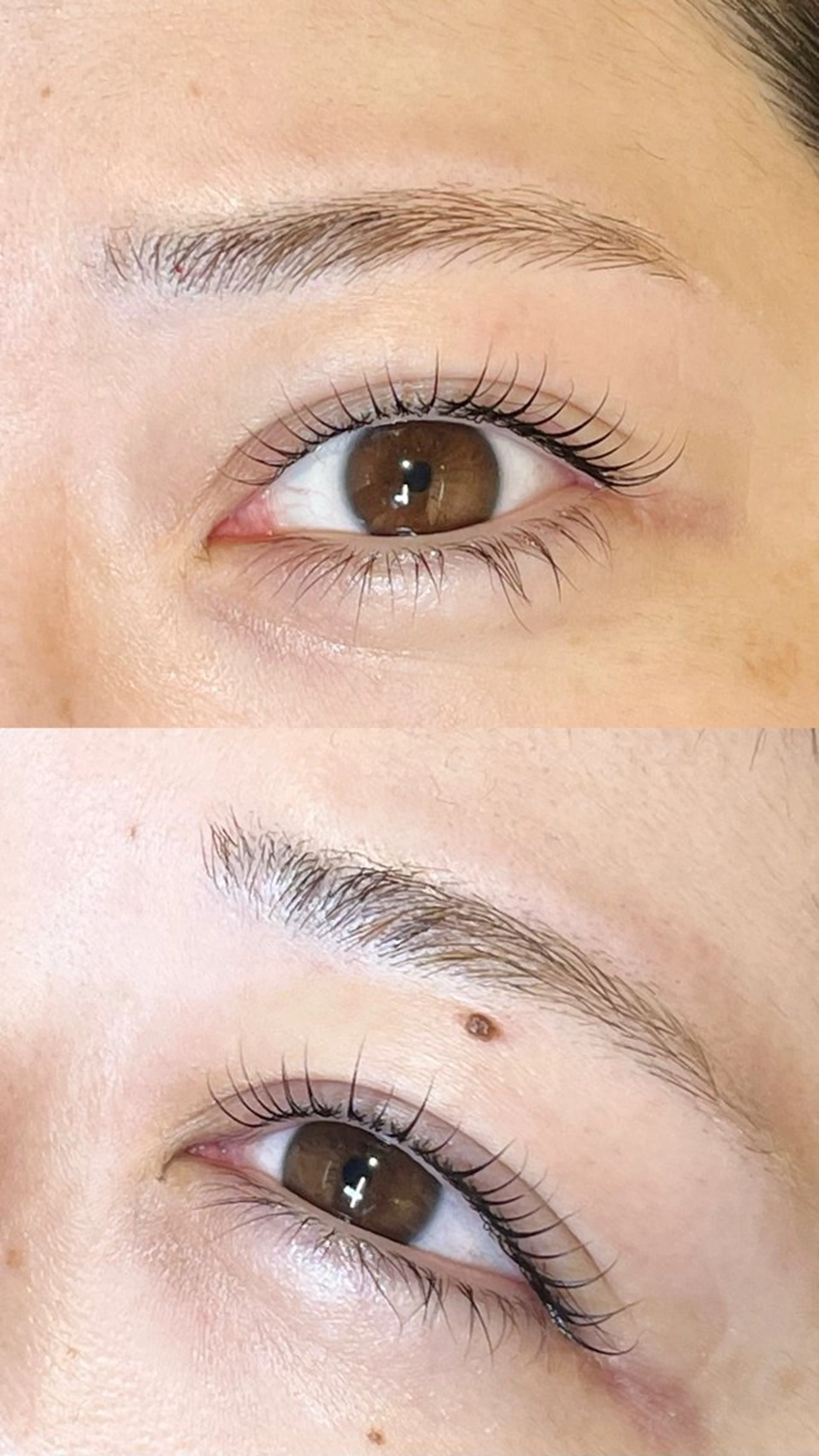 【ケラチントリートメント,アイシャンプー付き】ラッシュリフトの写真