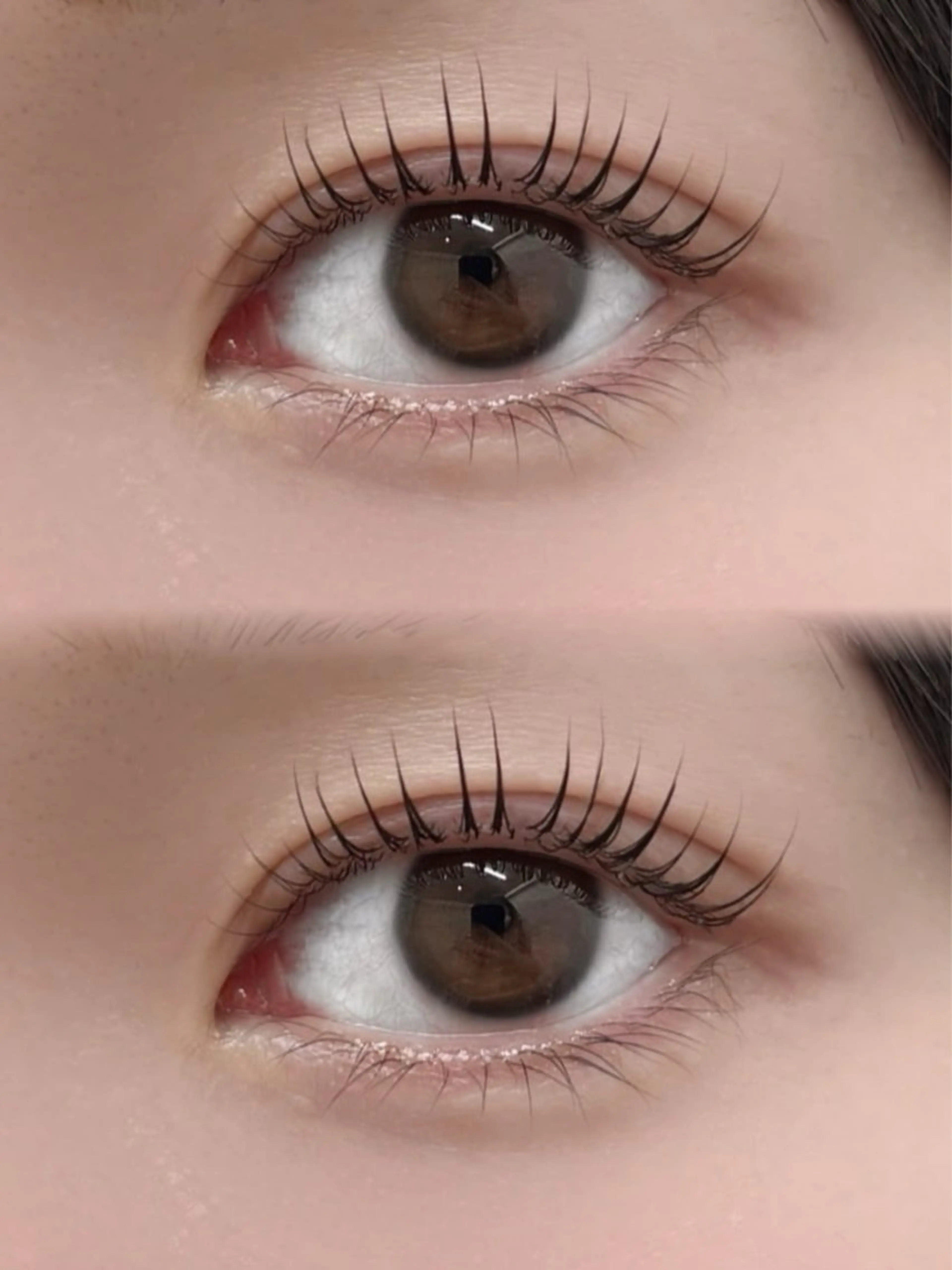 3回目まで可能！ラッシュリフト上下✨パリジェンヌに変更可能🙆🏻‍♀️◎の写真