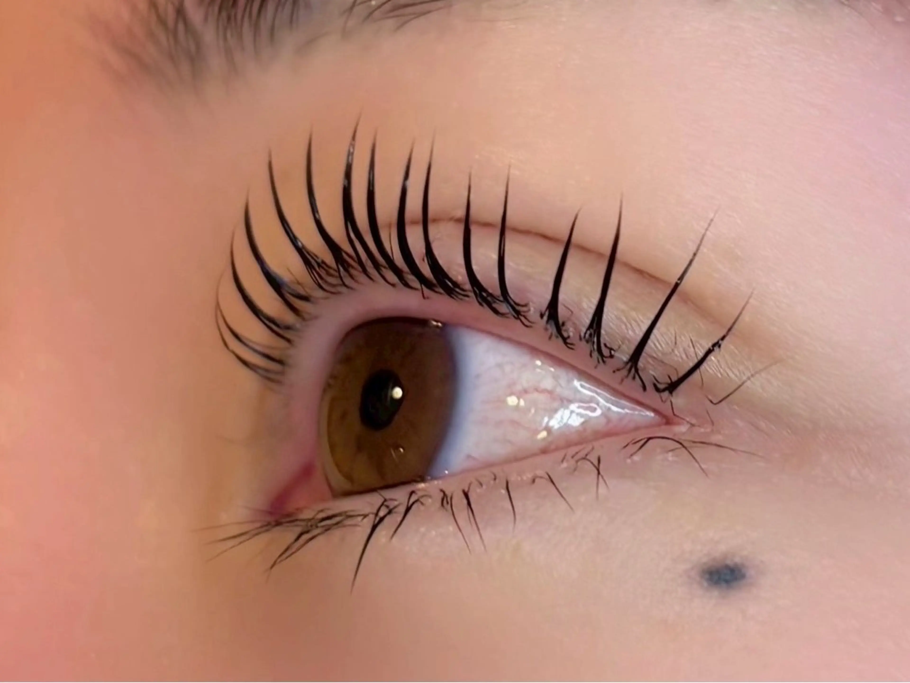 🩰パリジェンヌラッシュリフト🩰ケラチントリートメントつき(エクステオフなし)の写真