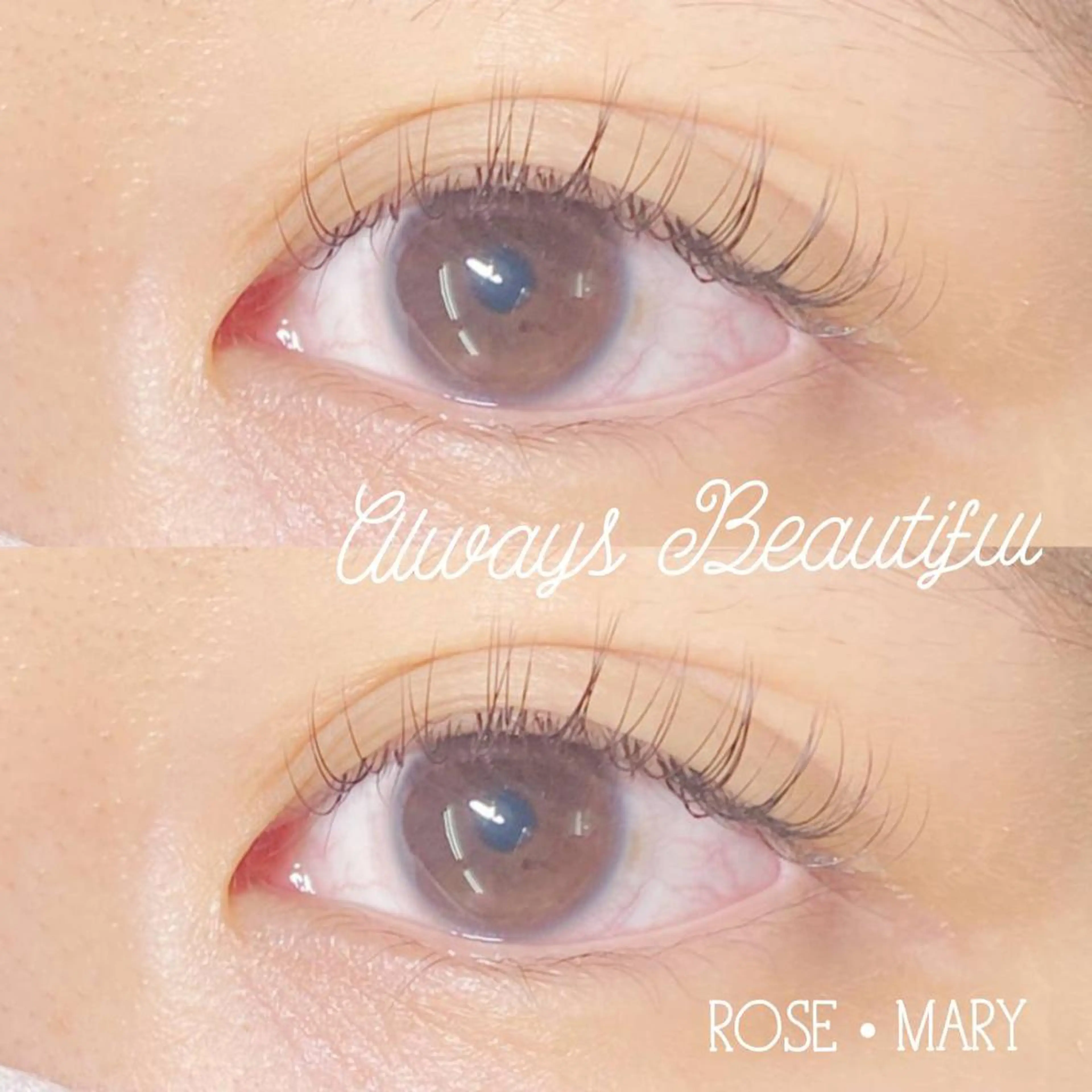 セーブルラッシュ🥀80本の写真