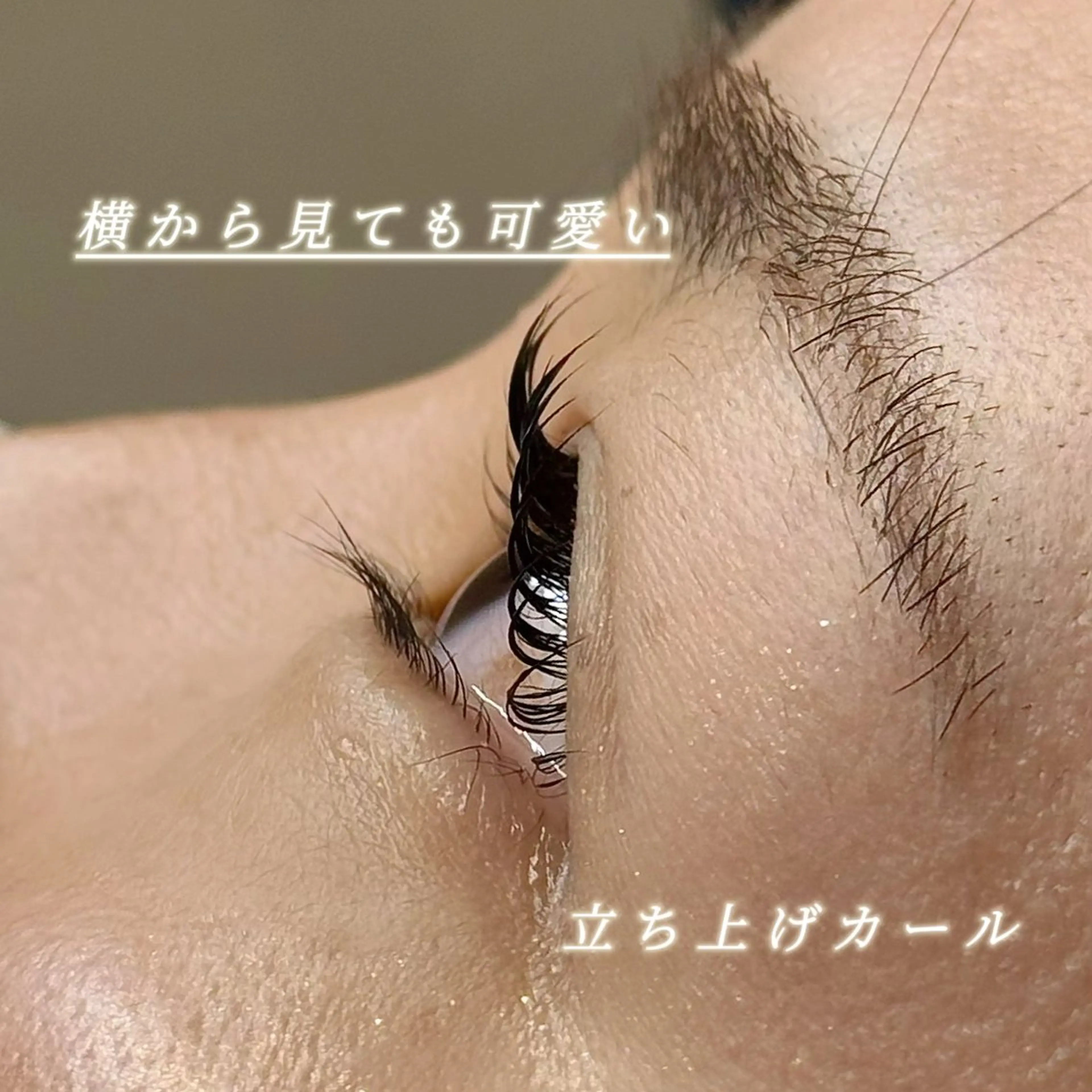 【当日予約限定】 まつげパーマ(トリートメント付き♪)¥4980の写真