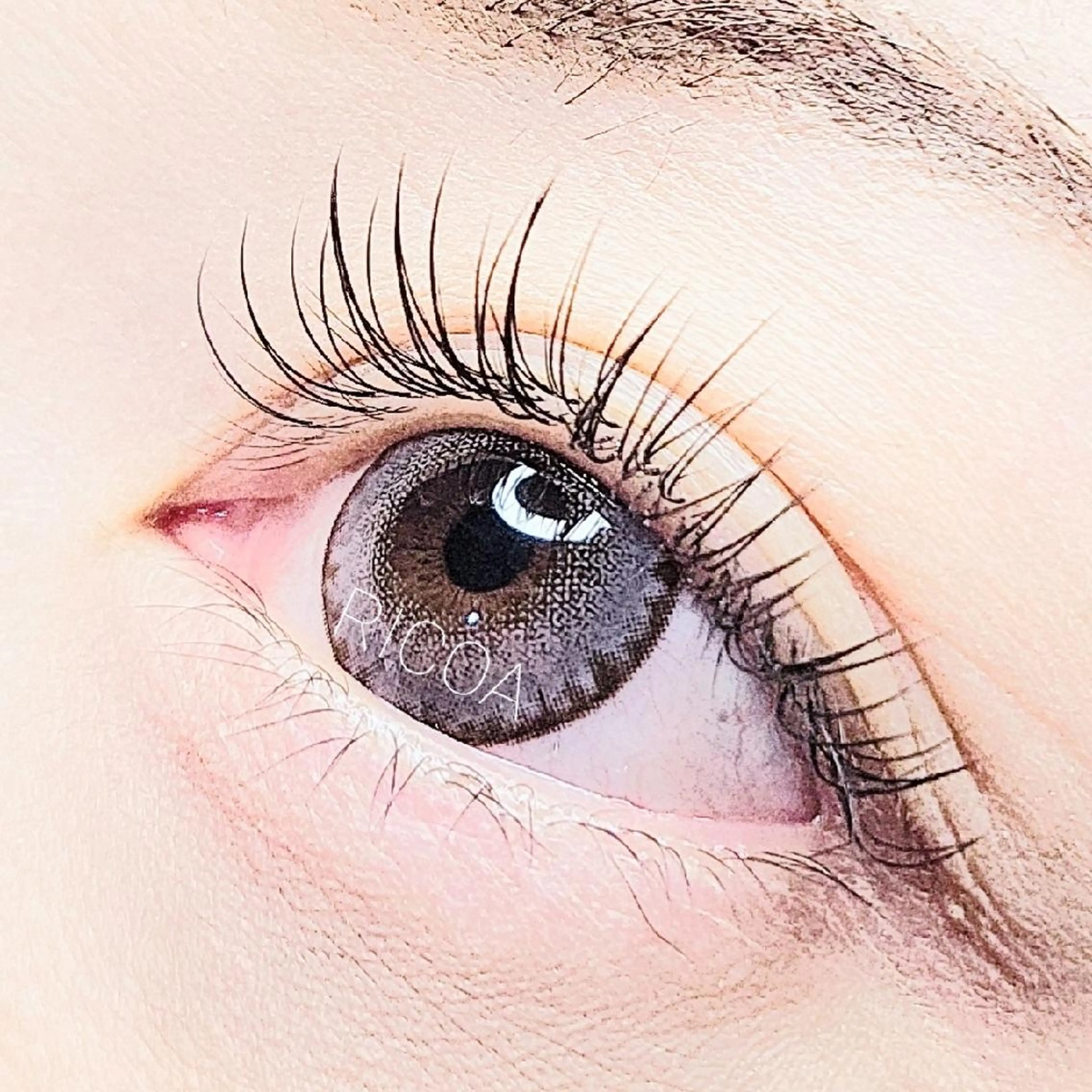 フラットラッシュ120本までの写真