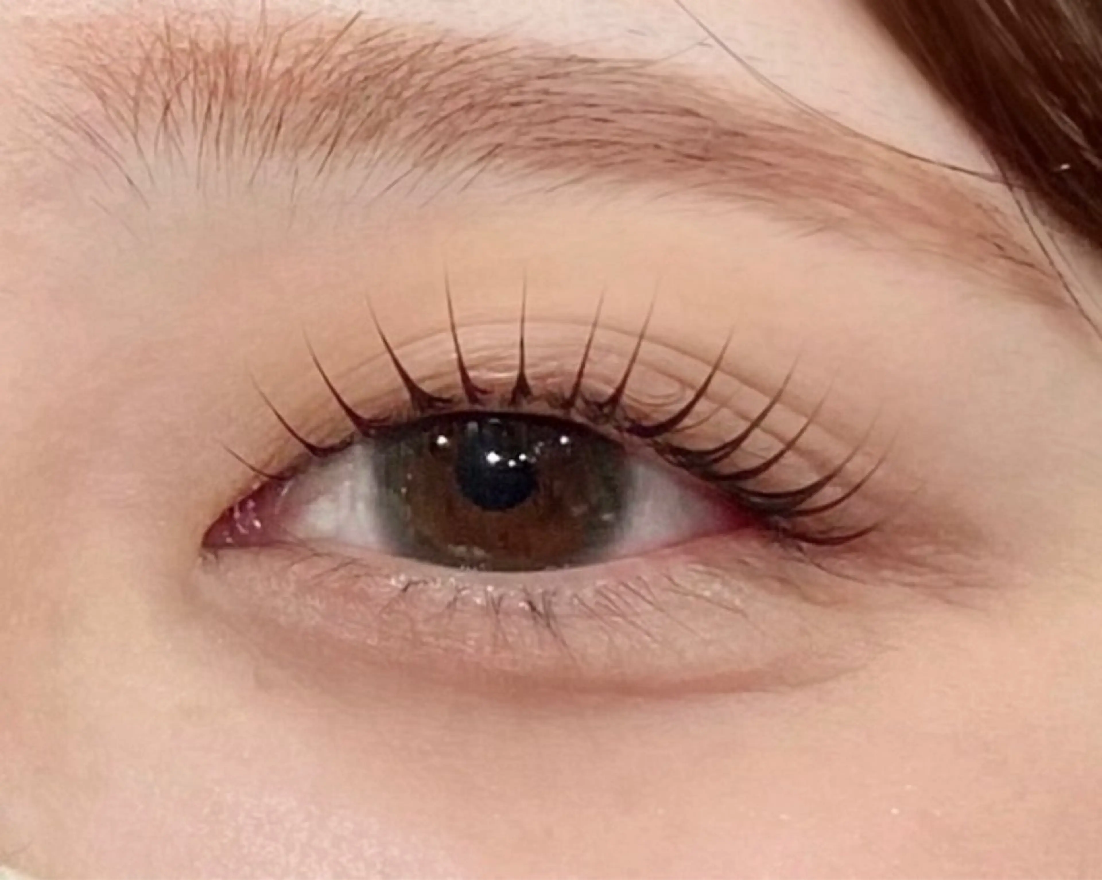 【コスメラッシュリフトモデル】の写真