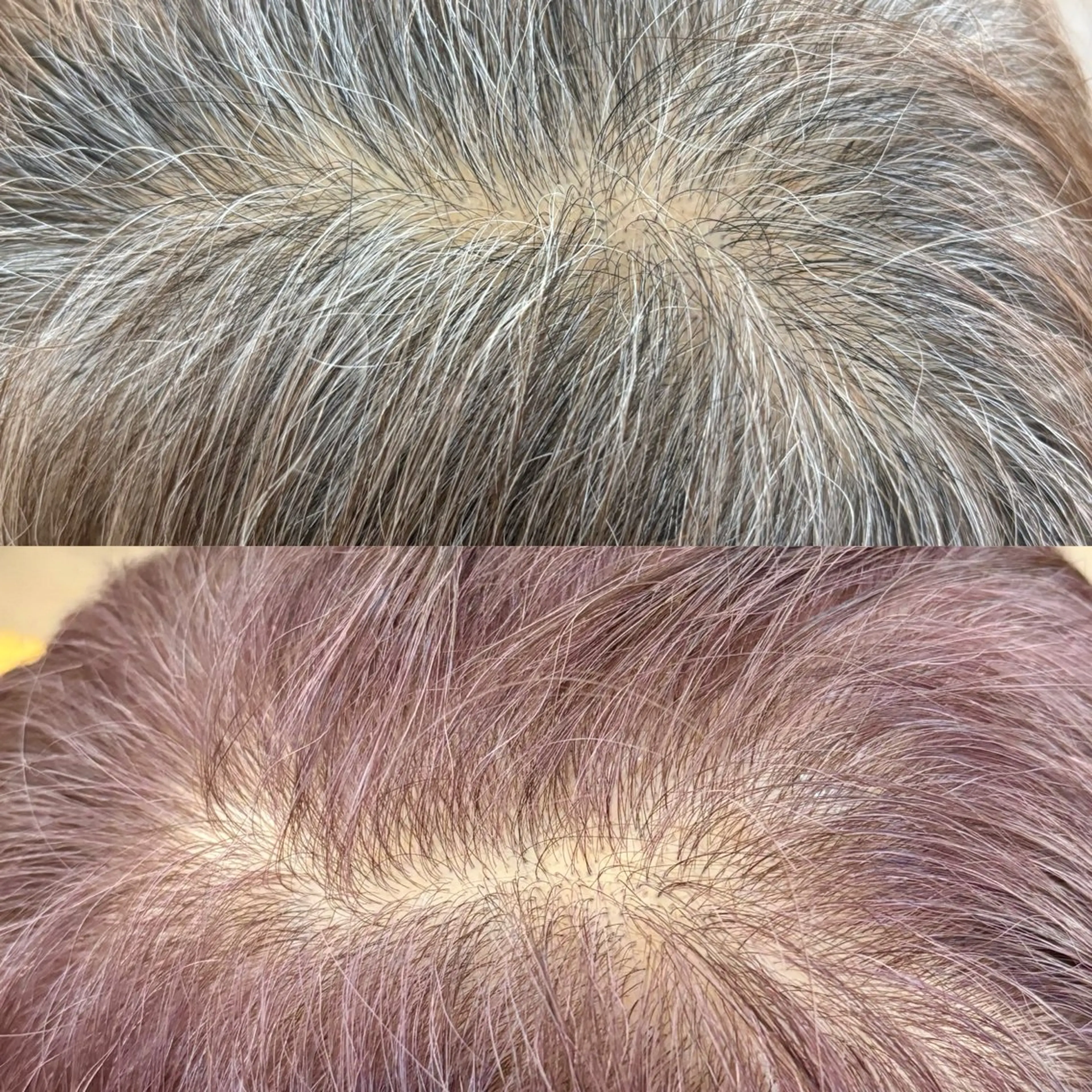 ショート カラー カット ヘアカラー トリートメント 【マンツーマン接客】 ✂︎🟡酒井司🟡のヘアスタイル