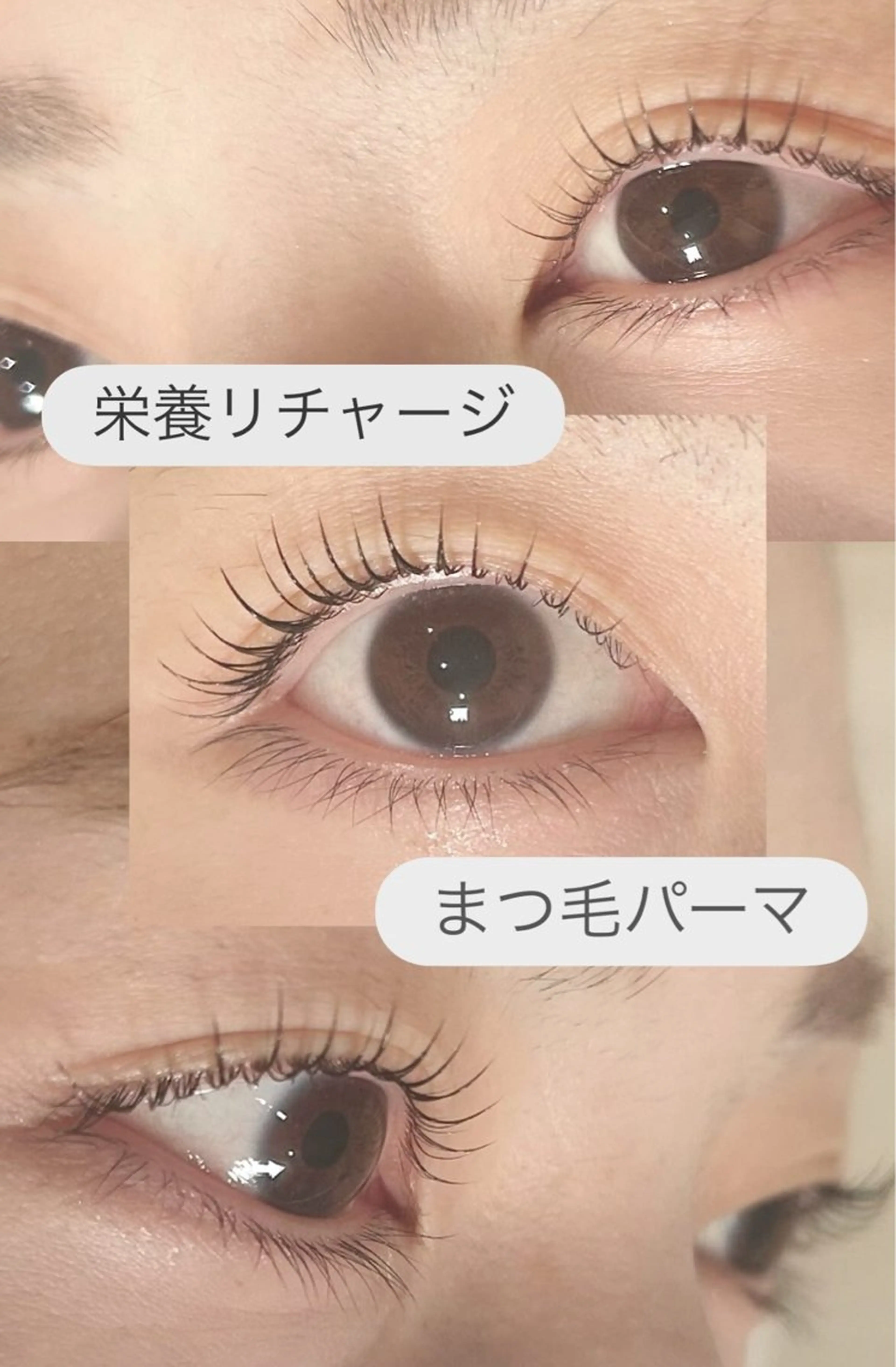 マツエク・マツパ マツパ まつ毛の悩み解消 Dacha吉岡の眉毛・アイブロウイメージ