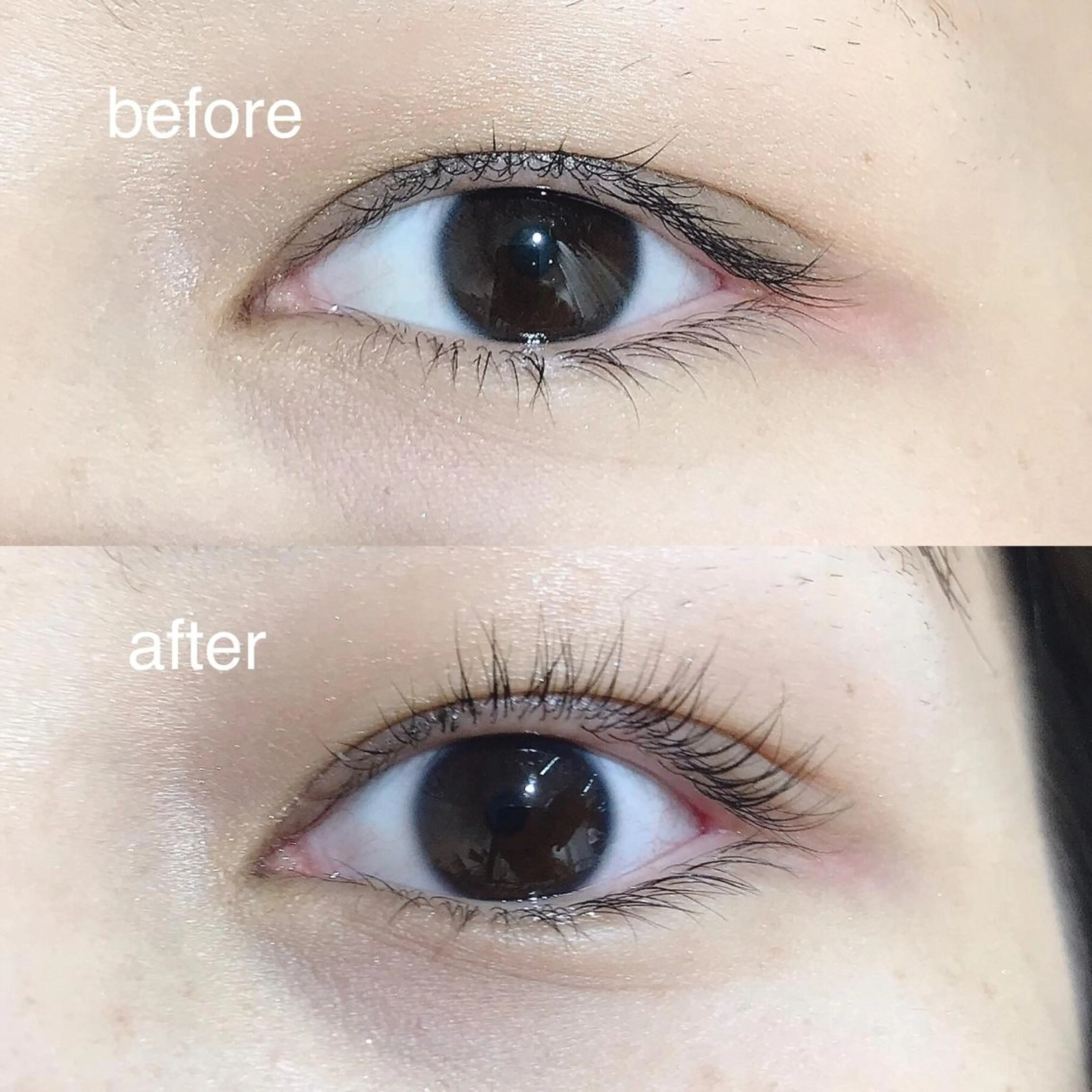 マツエク・マツパ パリジェンヌラッシュリフト パーマ×ウルフカット koya☆のヘアスタイル