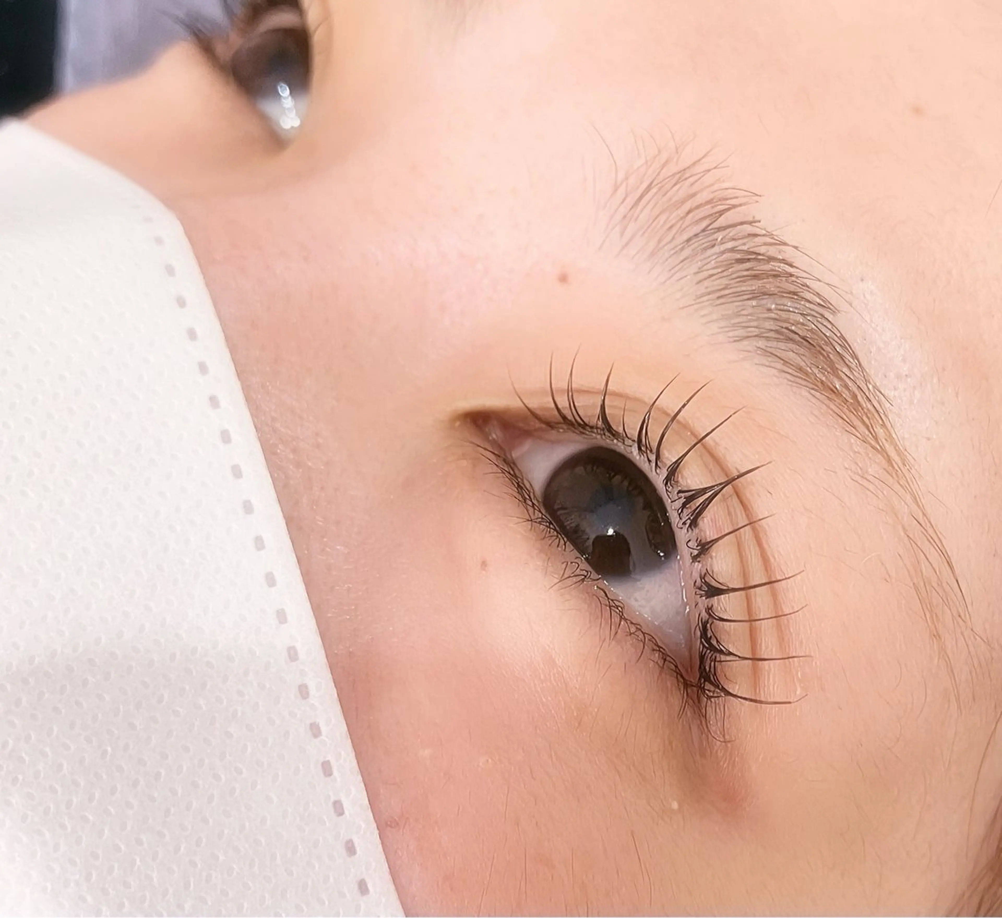 マツエク・マツパ マツパ Lotus YUIのマツエク・マツパデザイン