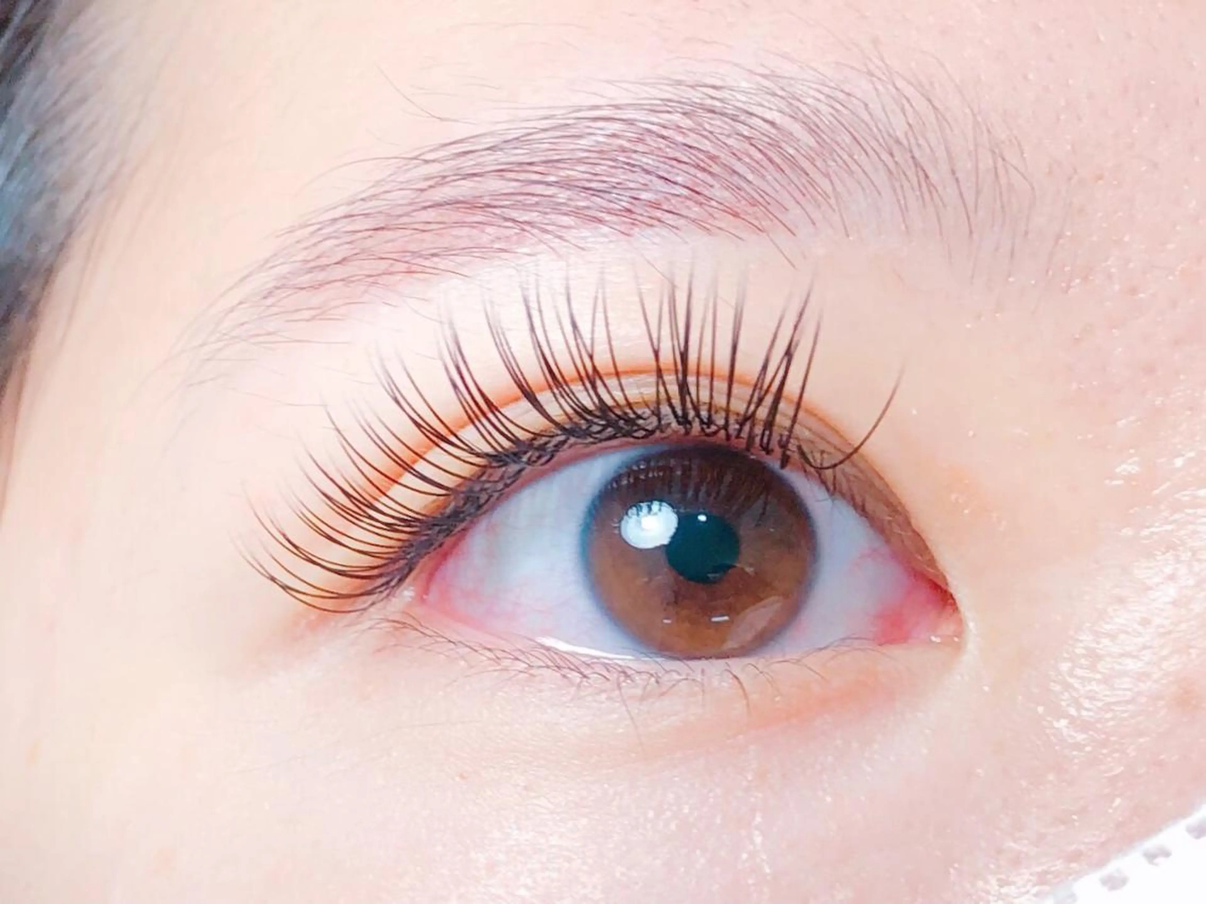 マツエク・マツパ Cカール フラットラッシュ 🪻 tipiのマツエク・マツパデザイン