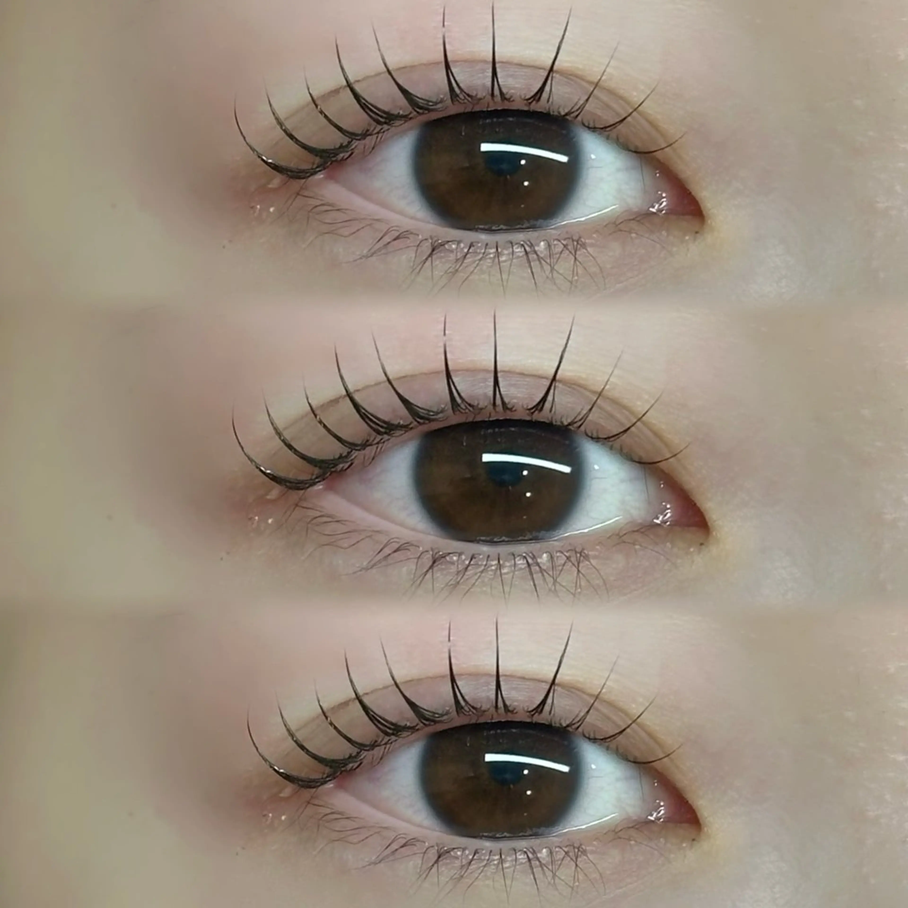 マツエク・マツパ マツパ “ C ” kana🩰‎🤍の眉毛・アイブロウイメージ