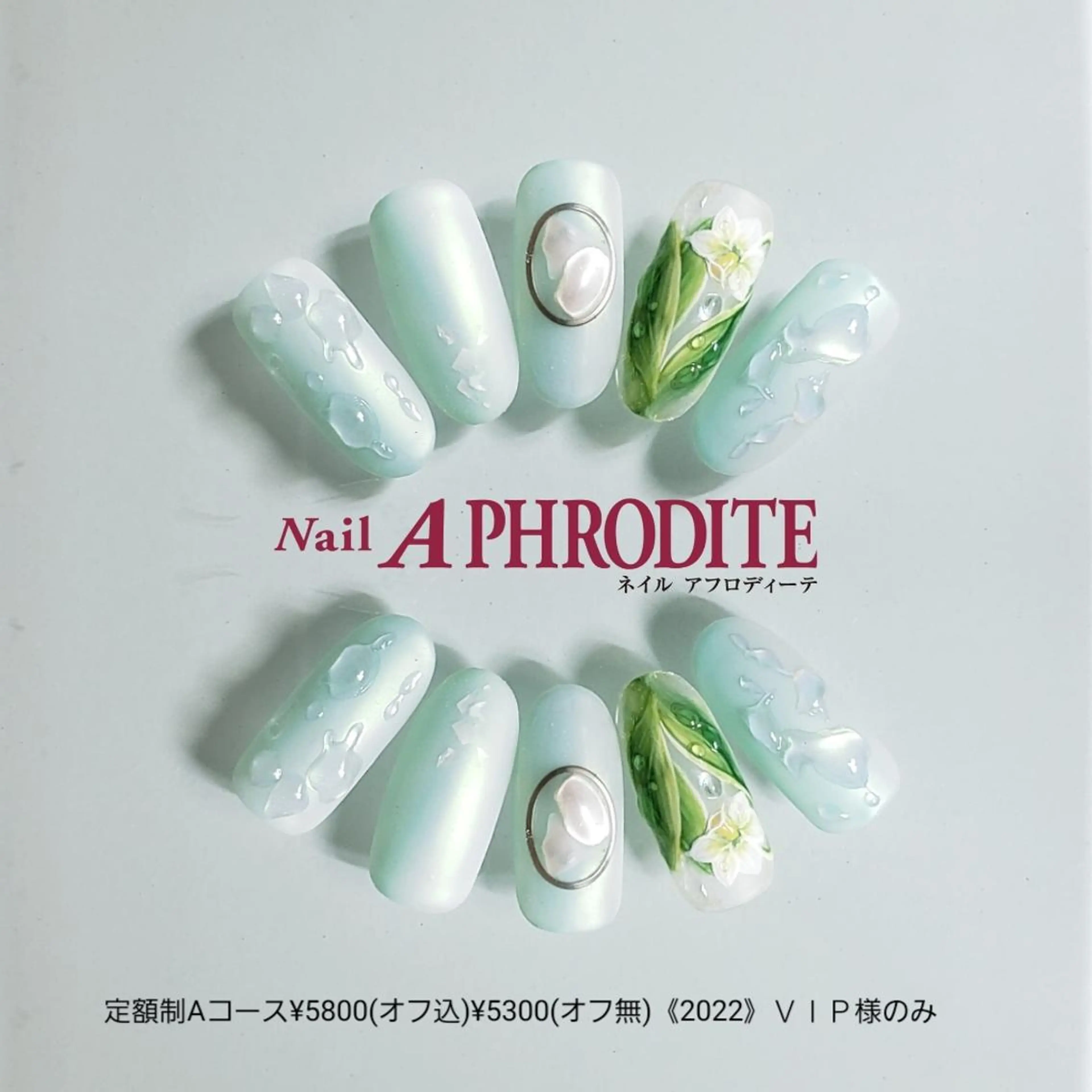 ネイル アートネイル ジェルネイル 持ち込み ソフトジェル ハンドネイル Nail Aphroditeのネイルデザイン