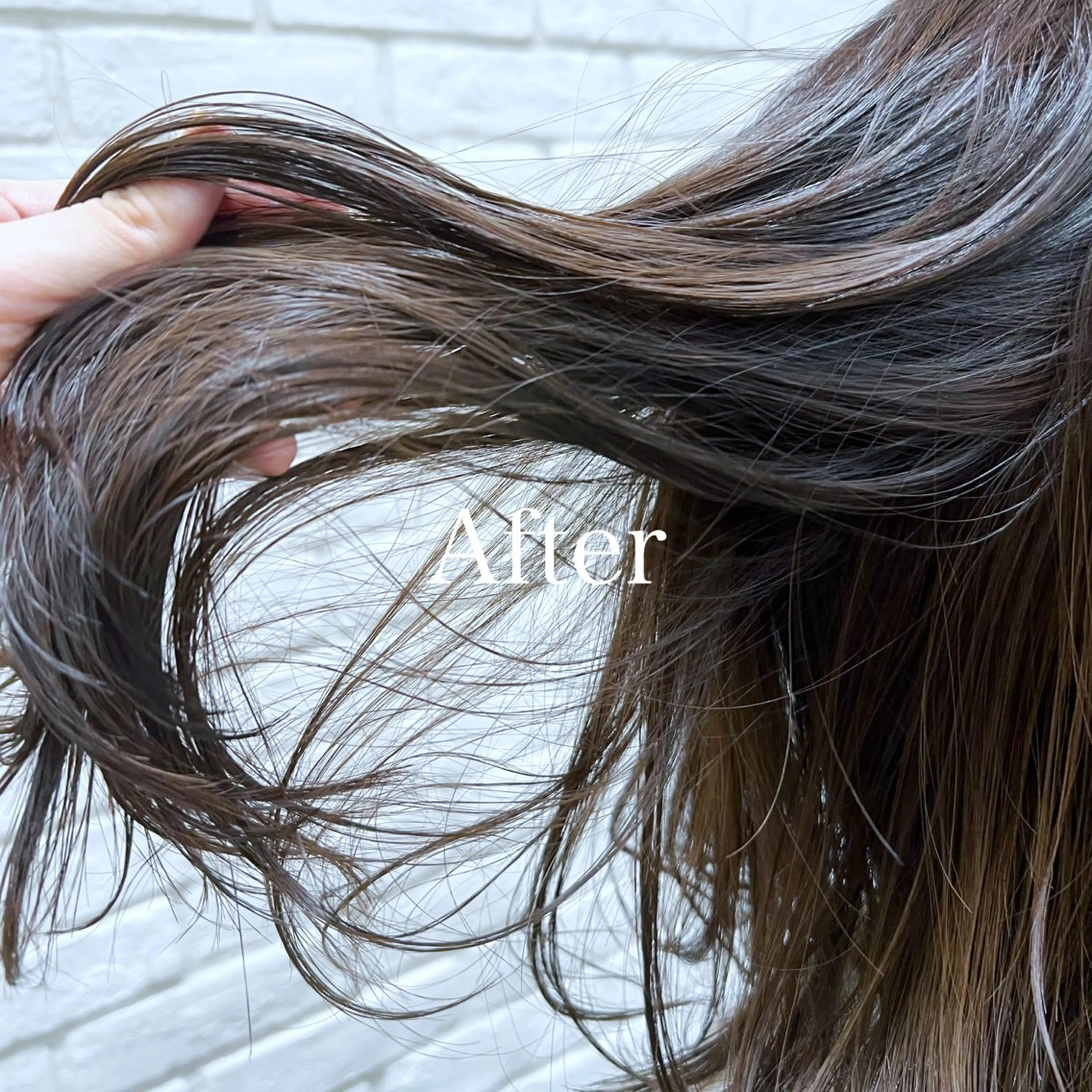 ミディアム カラー レディースヘア💫 加藤たいが🐯のヘアスタイル