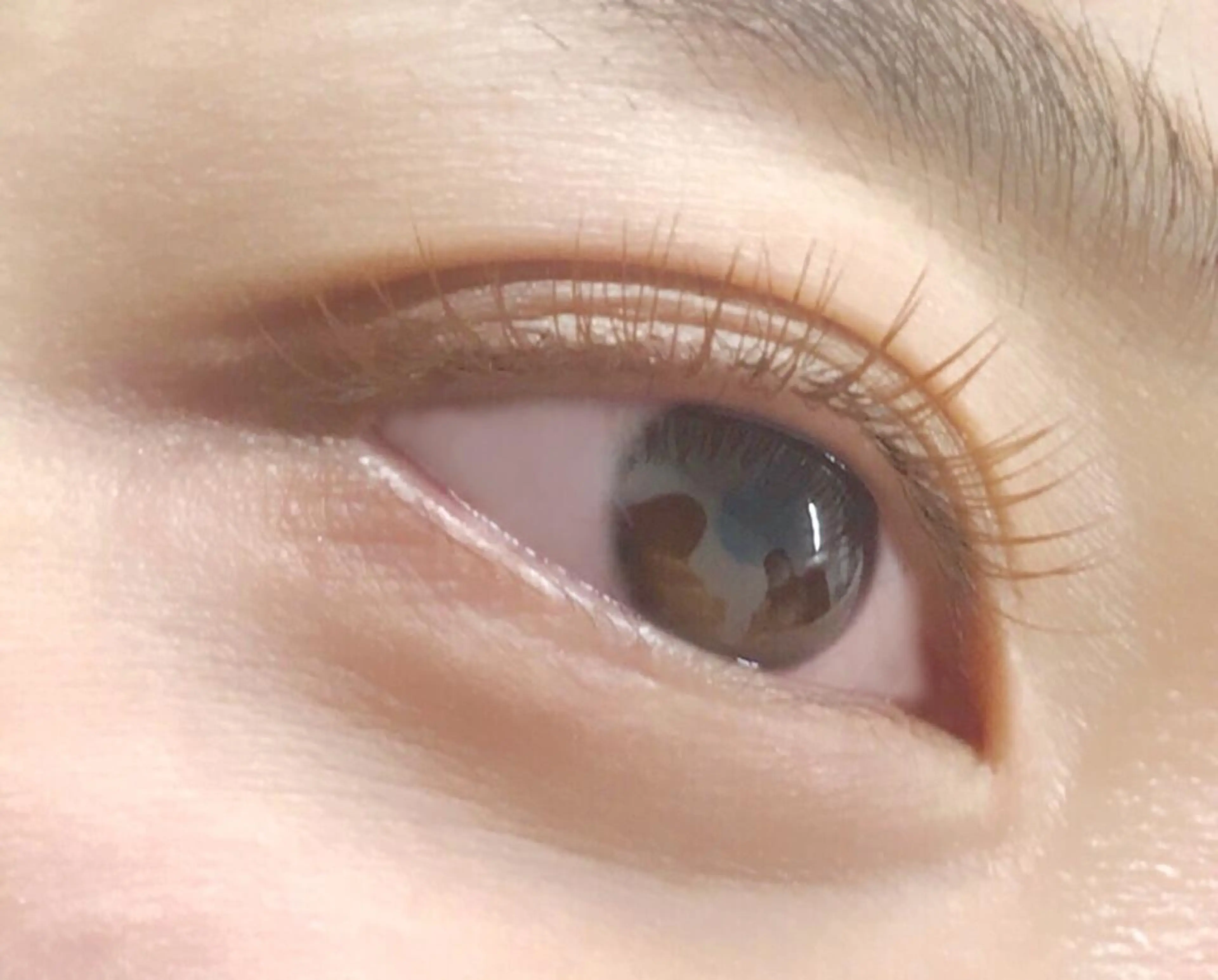 フラットラッシュ100本【カラーに変更可能】の写真