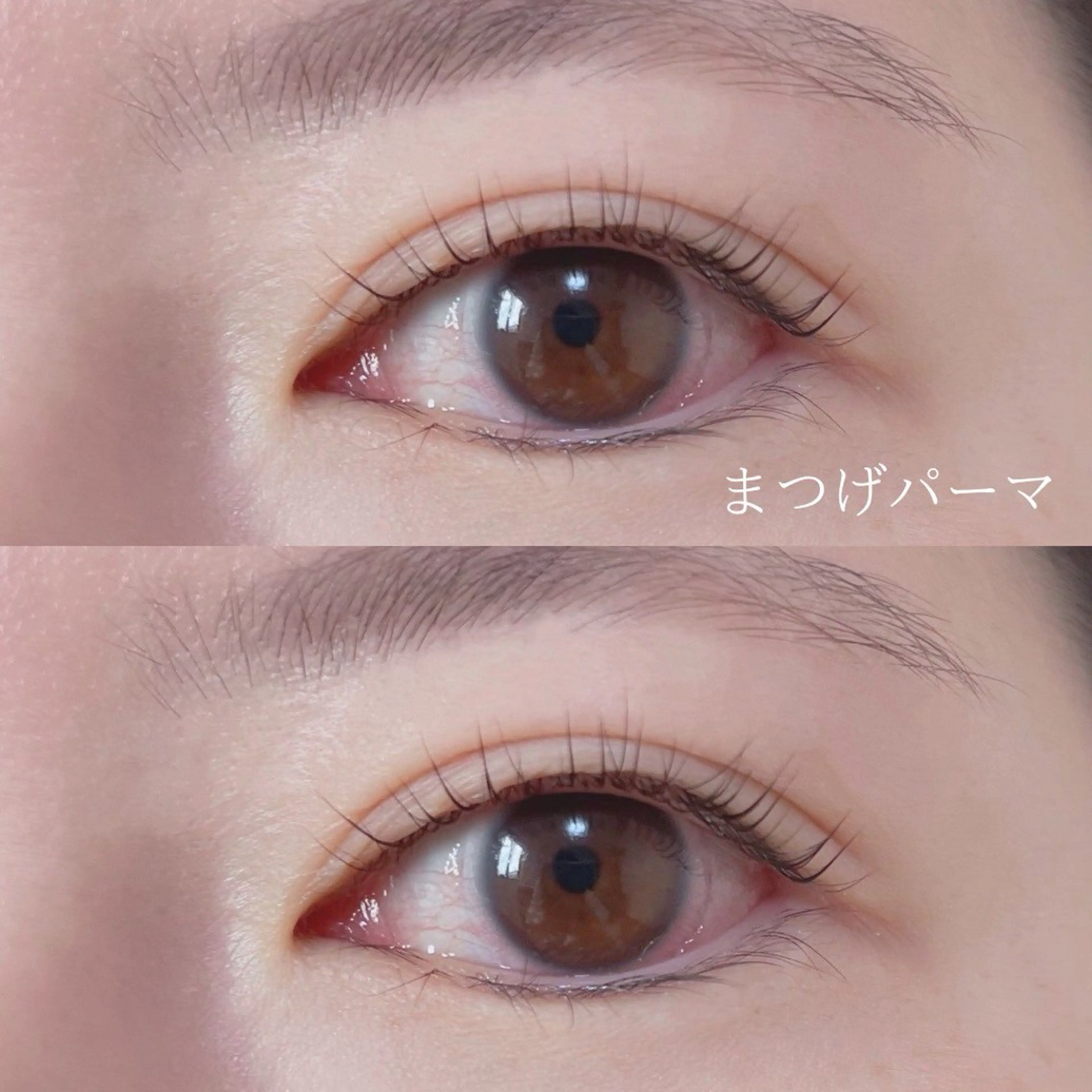 マツエク・マツパ まつげパーマ マツパ sete💫 mizukiのマツエク・マツパデザイン