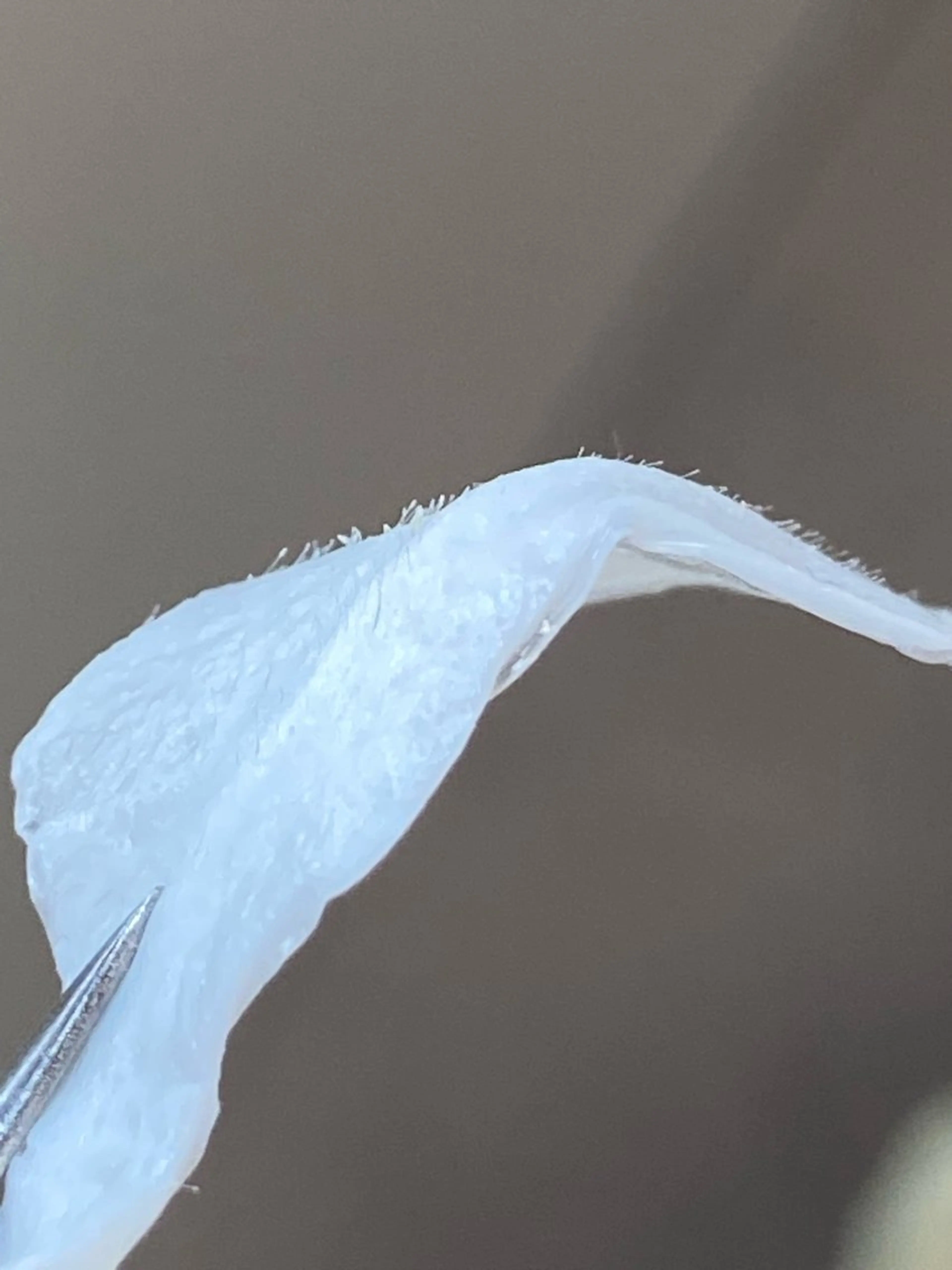 脱毛 &me ayakaのエステ・リラクイメージ