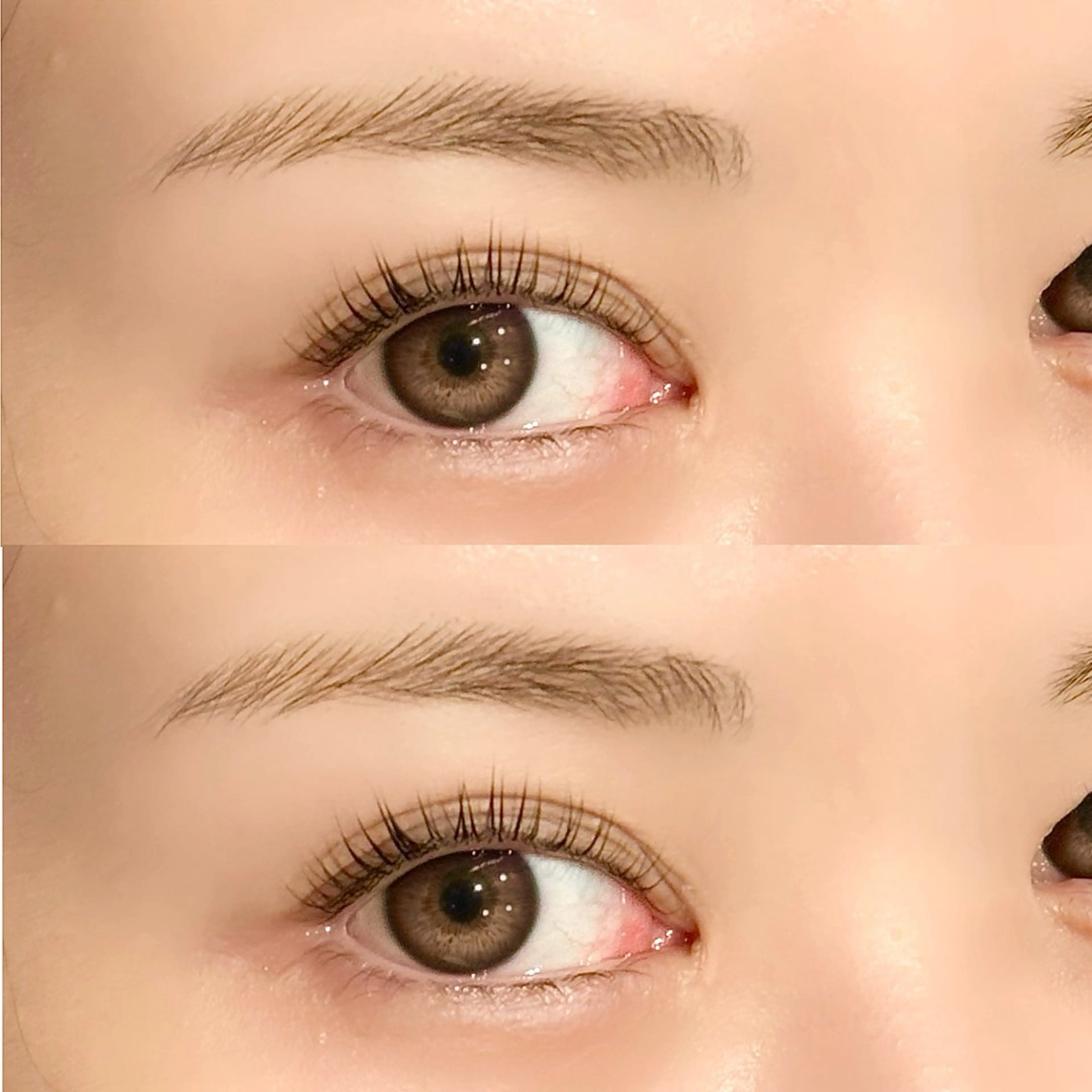 学割👩‍🎓デザイン選べるまつ毛パーマ¥4550の写真