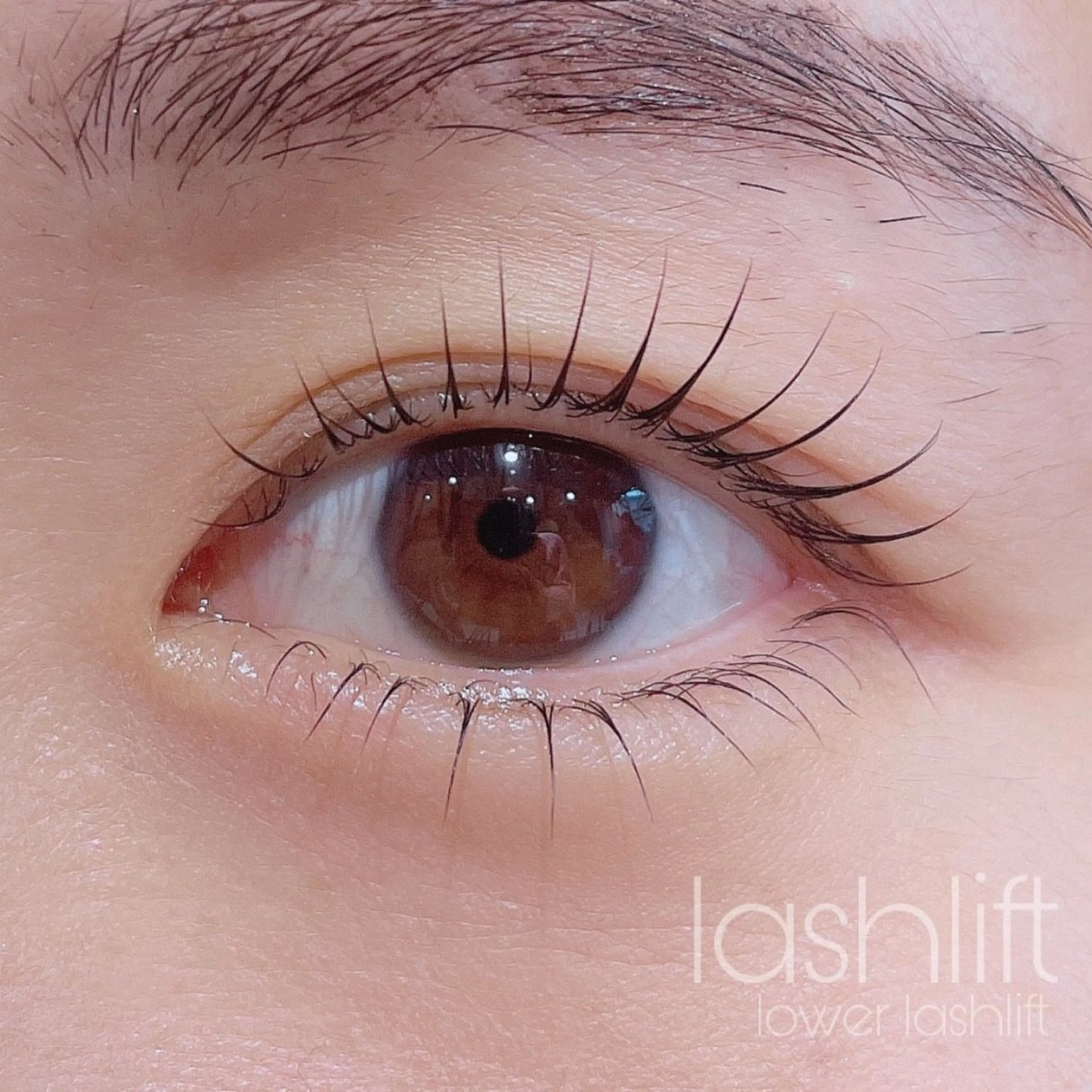 マツエク・マツパ fameu HARUのエステ・リラクイメージ