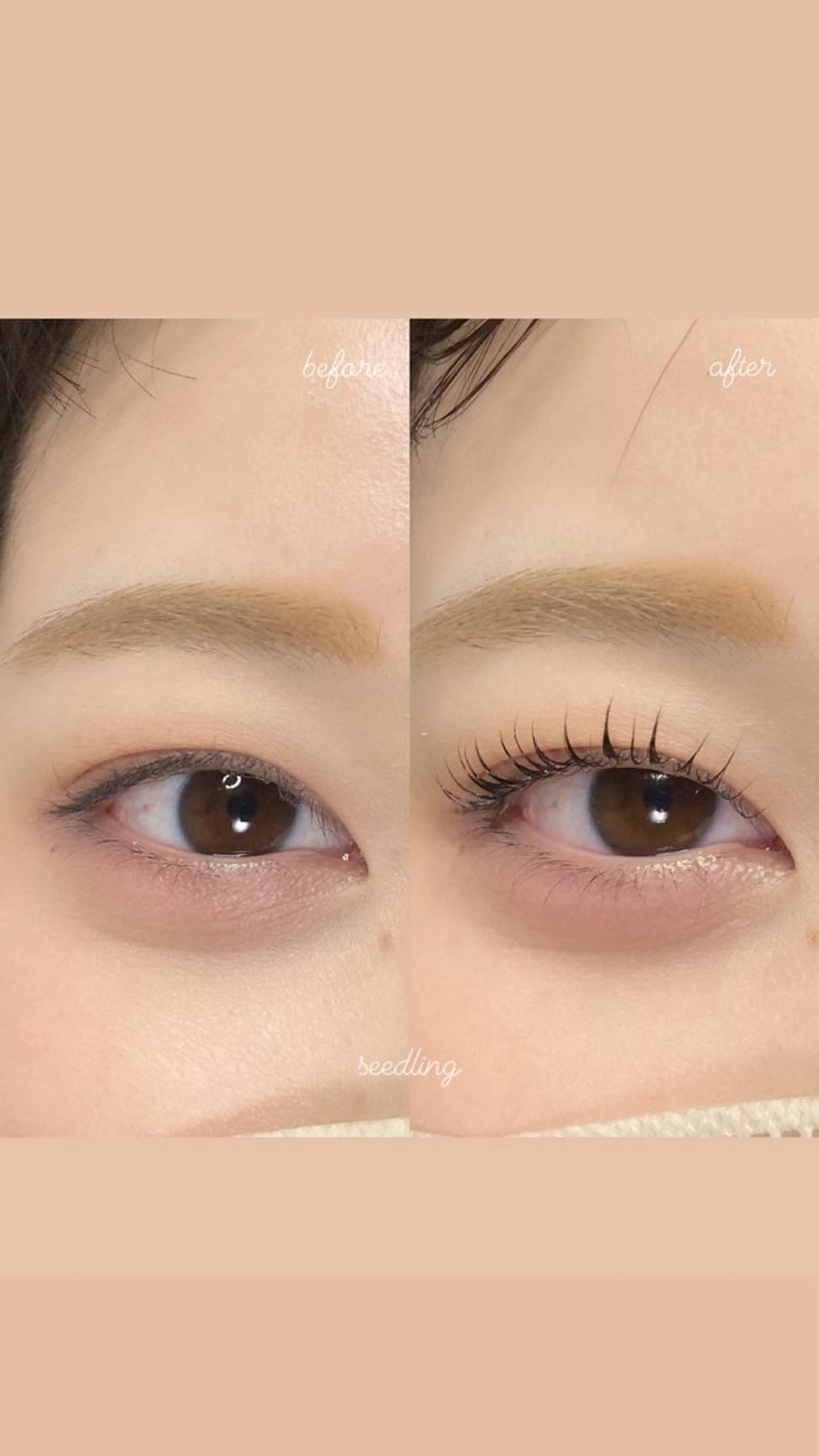 マツエク・マツパ マツパ シードリン 府内店 杉田のマツエク・マツパデザイン