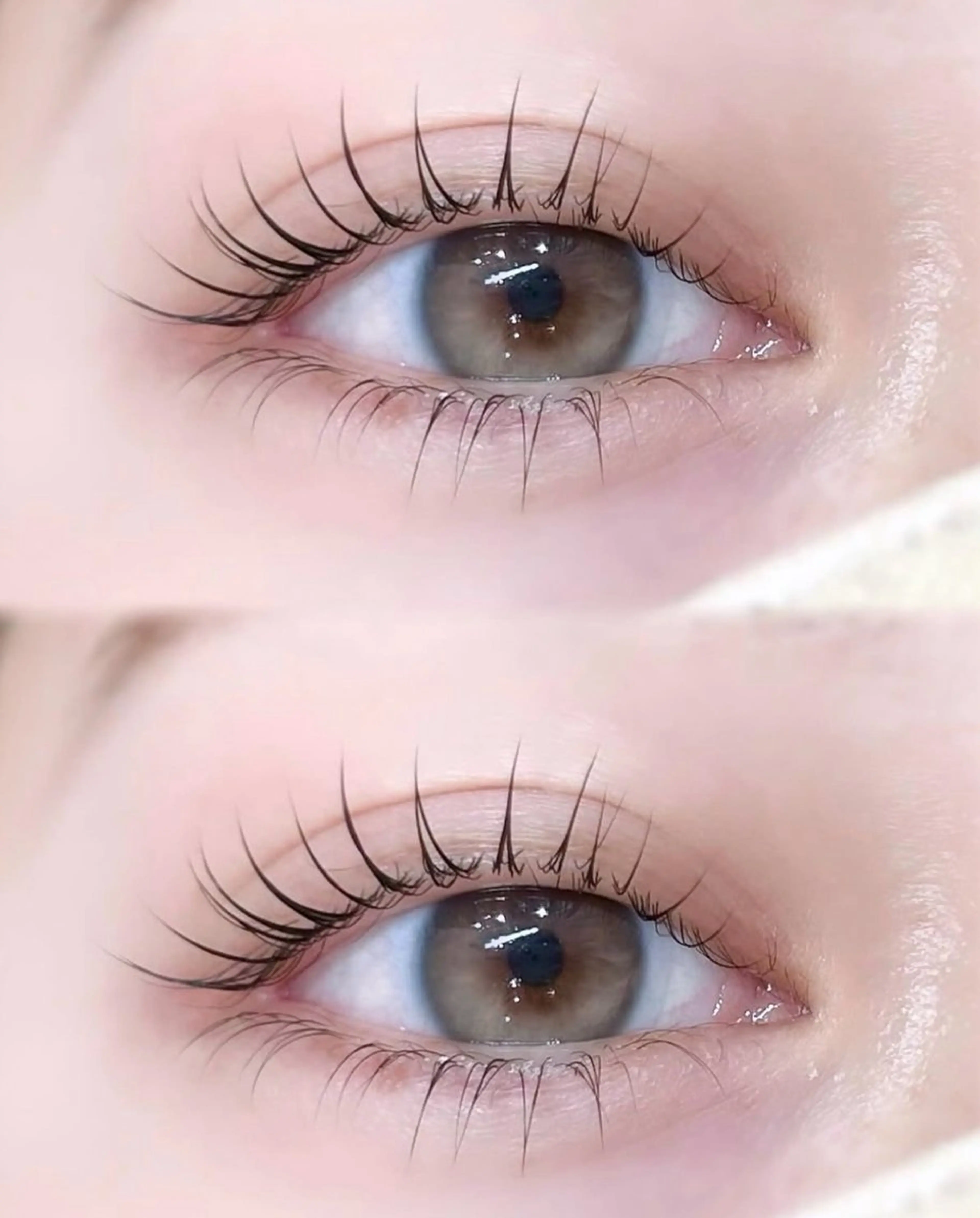 ラッシュリフト（上まつげパーマ）🎀の写真